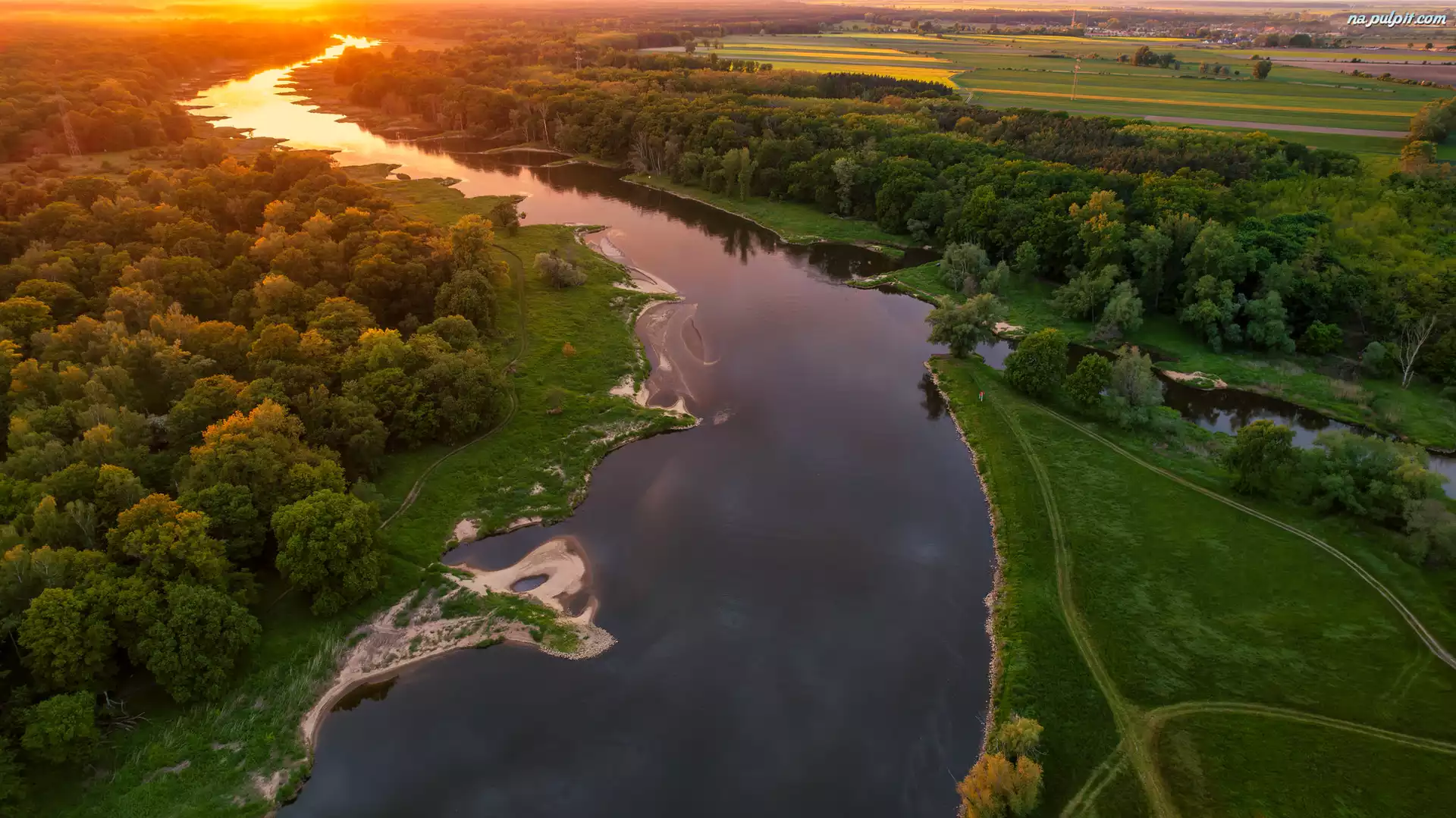 Drzewa, Rzeka, Pola, Polska, Z lotu ptaka, Zachód słońca, Gmina Szlichtyngowa, Odra
