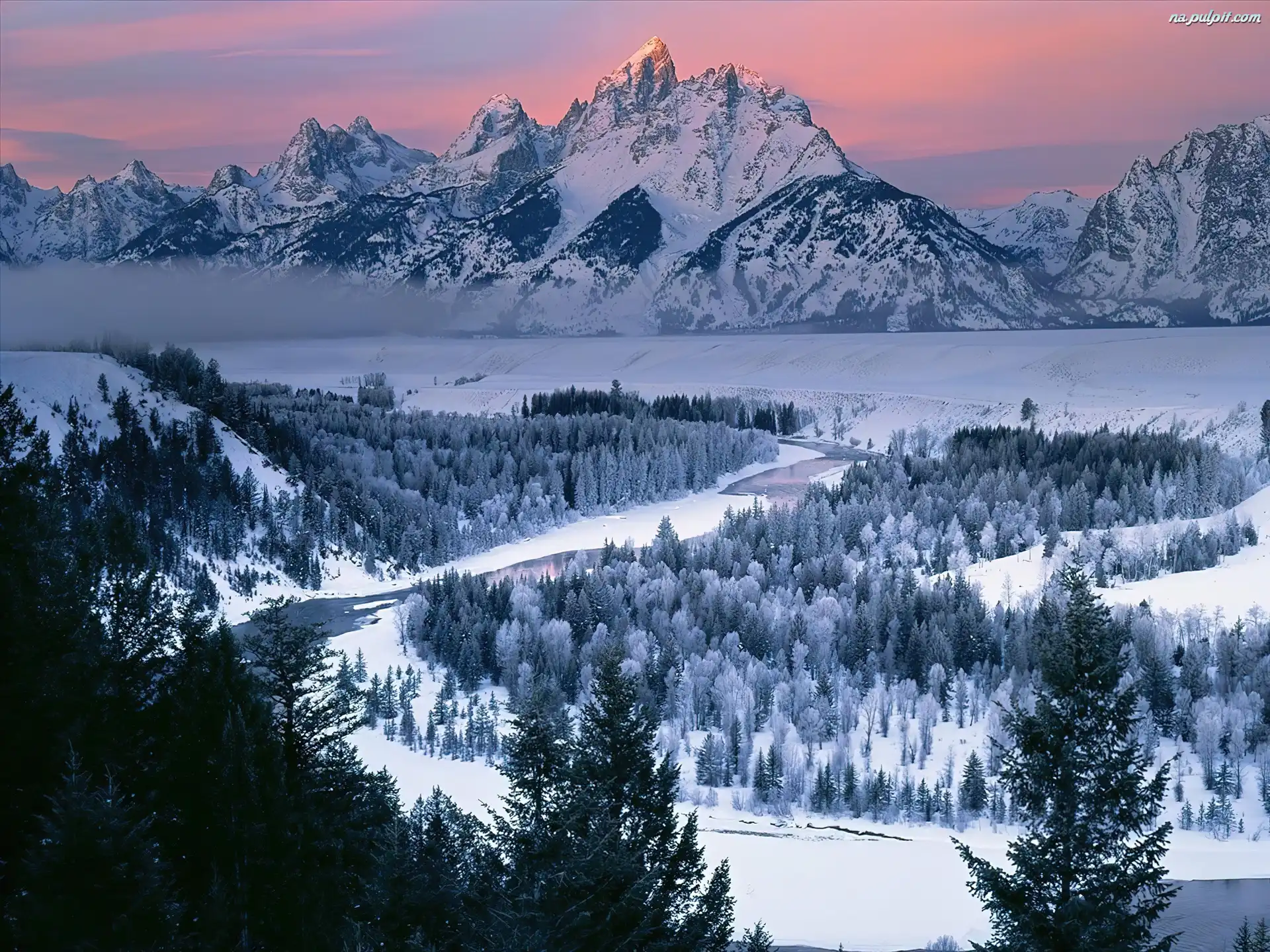 Góry, Drzewa, Wyoming, Śnieg