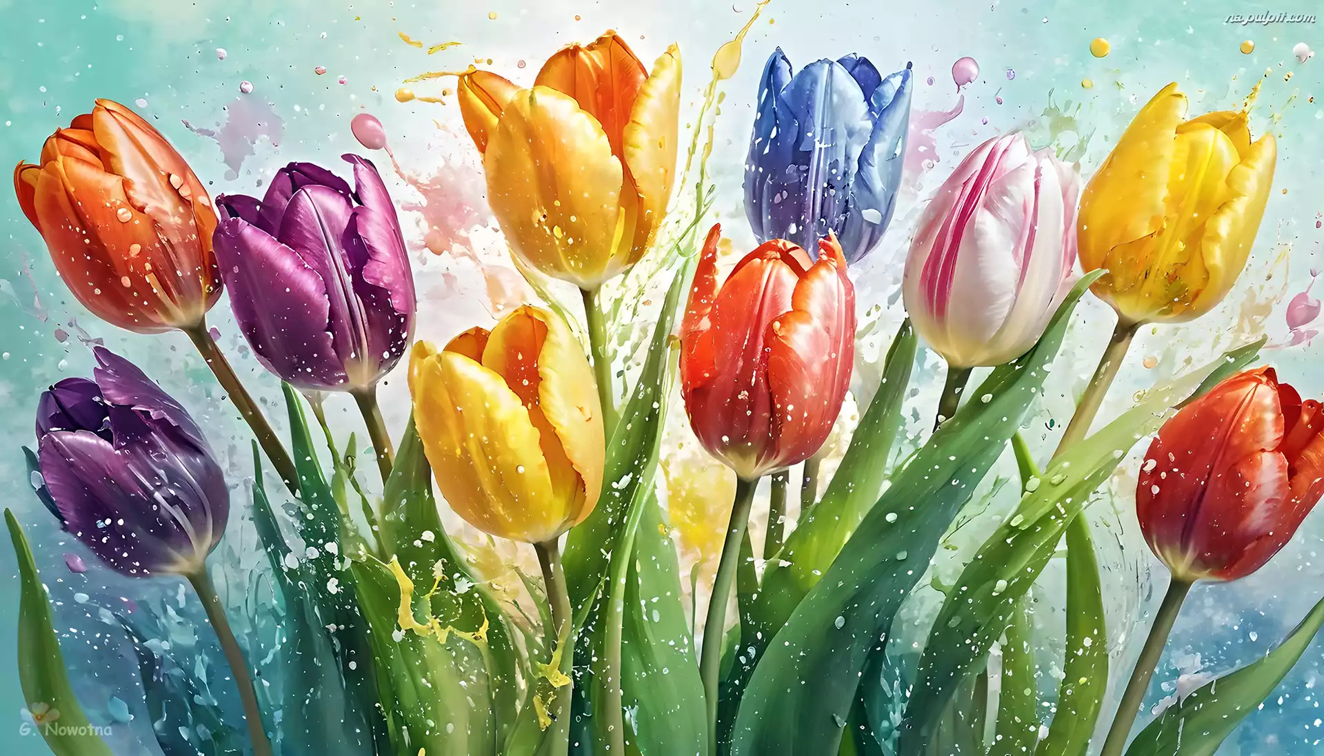 Kolorowe, RozkwitajÄ…ce, Tulipany, Grafika