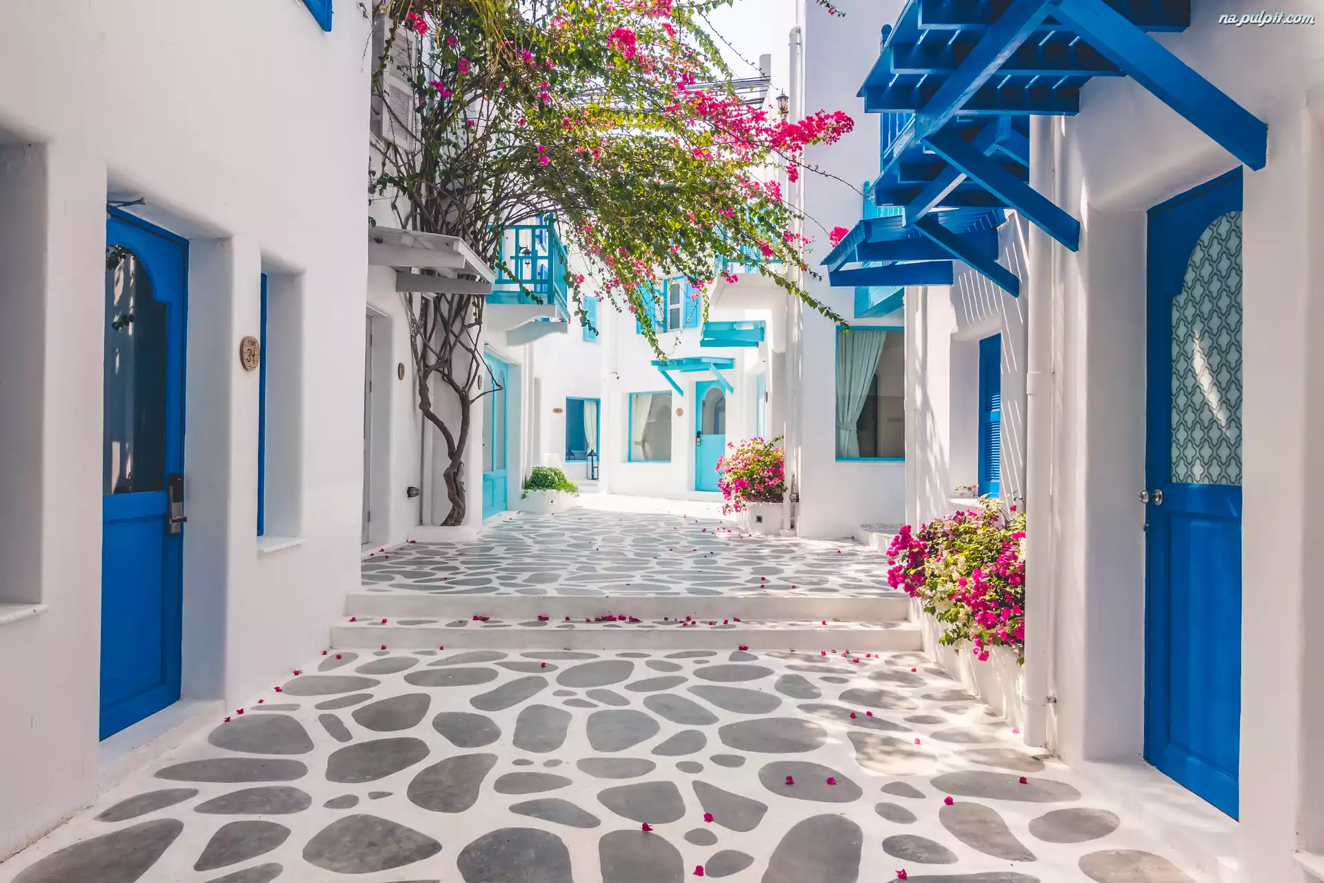 Uliczka, Niebieskie, Domy, Grecja, Santorini, Białe, Drzwi