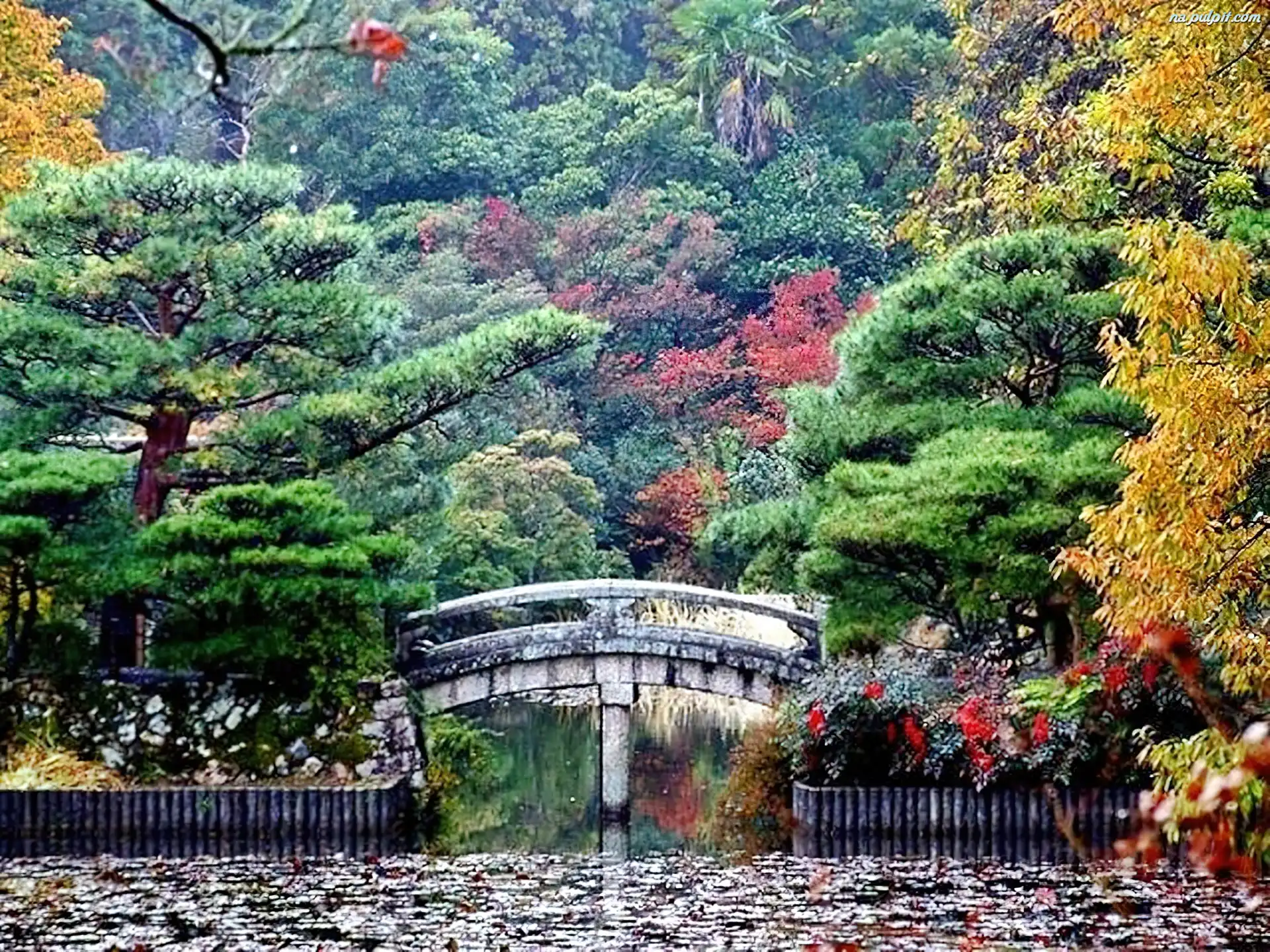Most, Japonia, Kioto