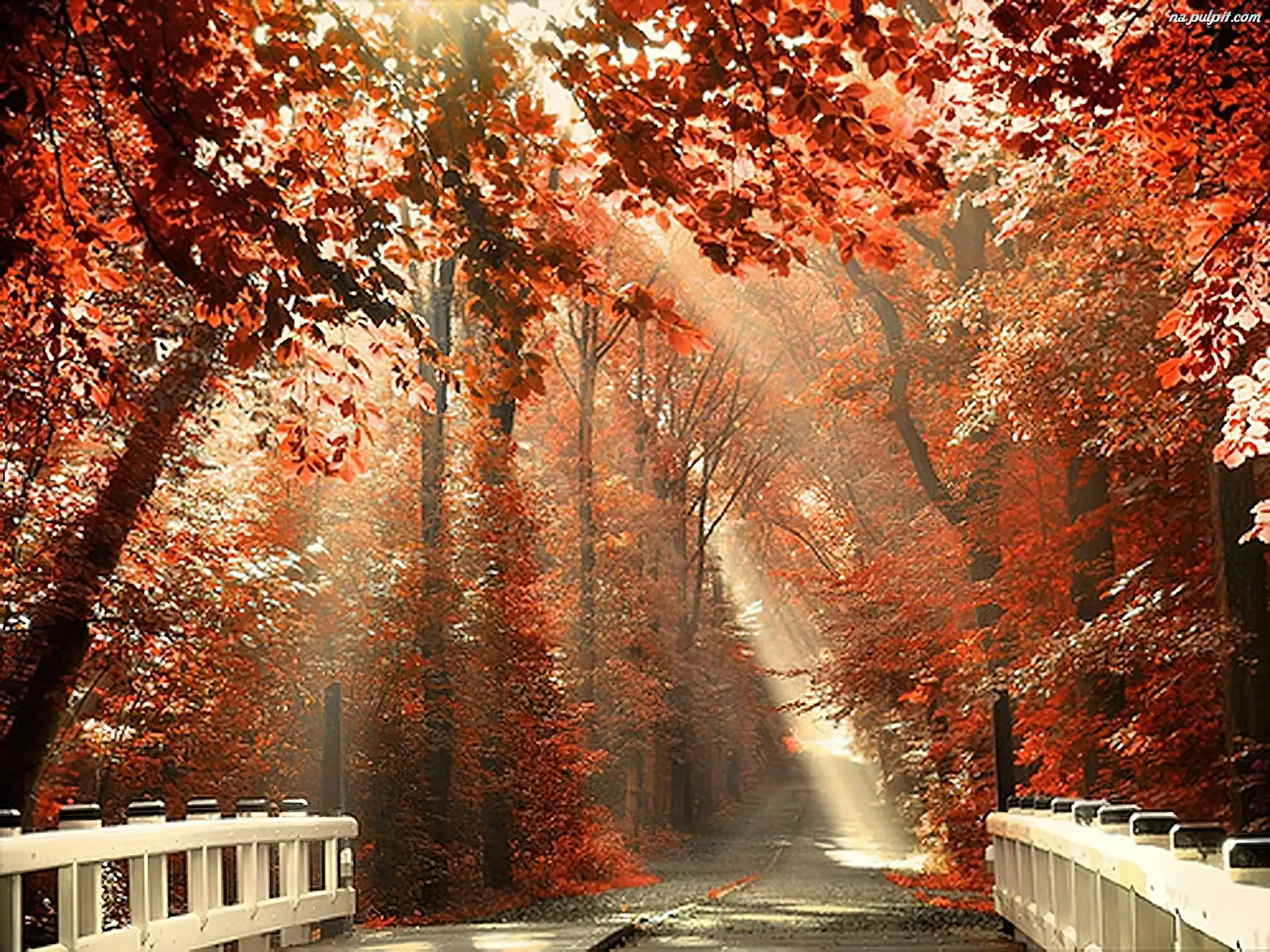Światło, Most, Jesień, Droga