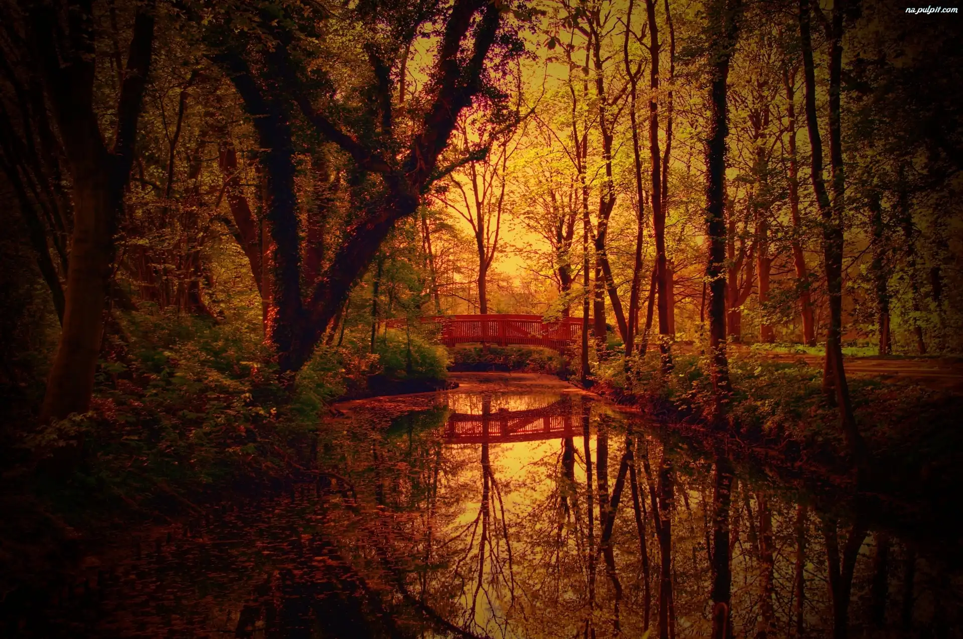Mostek, Jesień, Rzeka