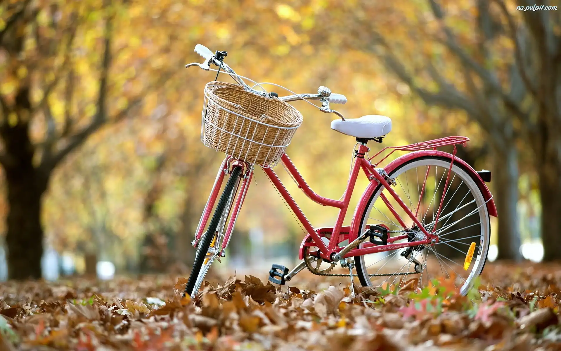 Jesień, Park, Rower, Liście