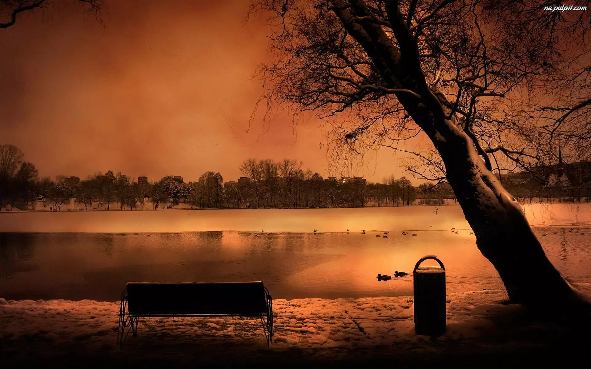Drzewo, Jezioro, Ławka
