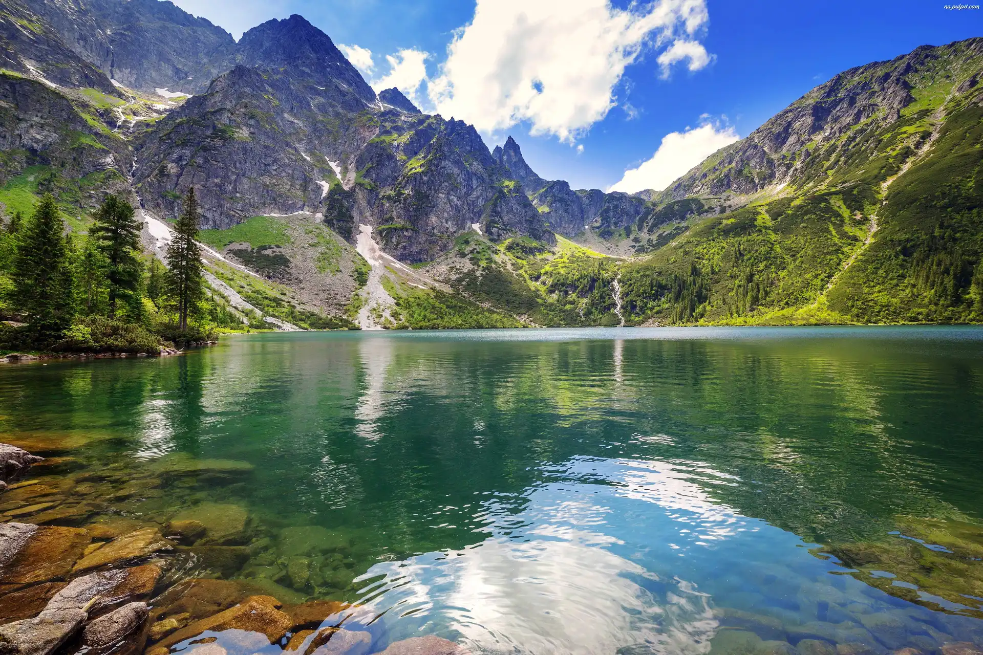 Drzewa, Jezioro Morskie Oko, Góry Tatry, Polska, Lato Na Pulpit