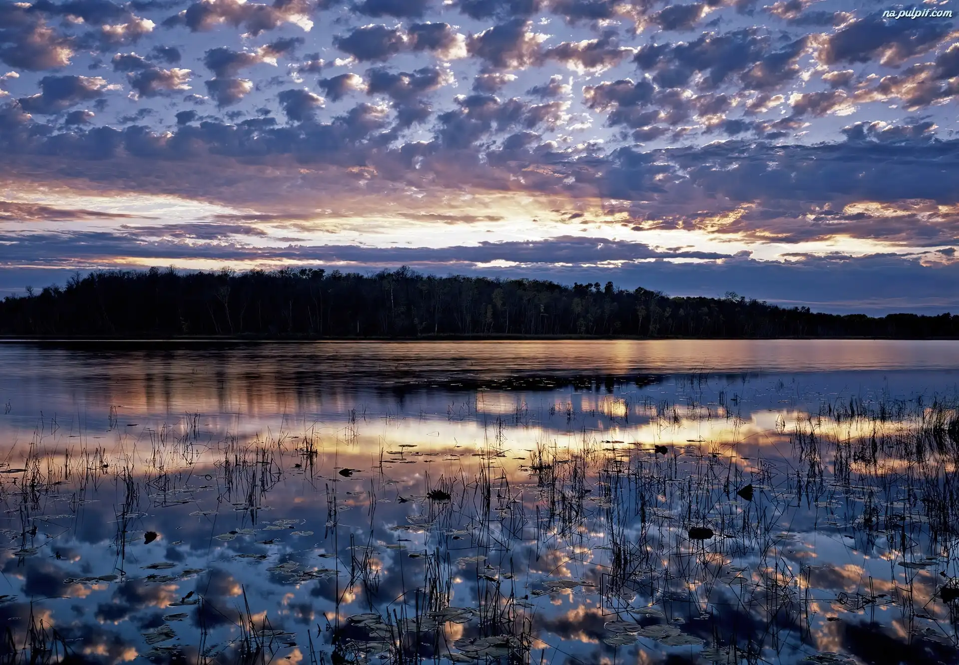 Jezioro, Thunder