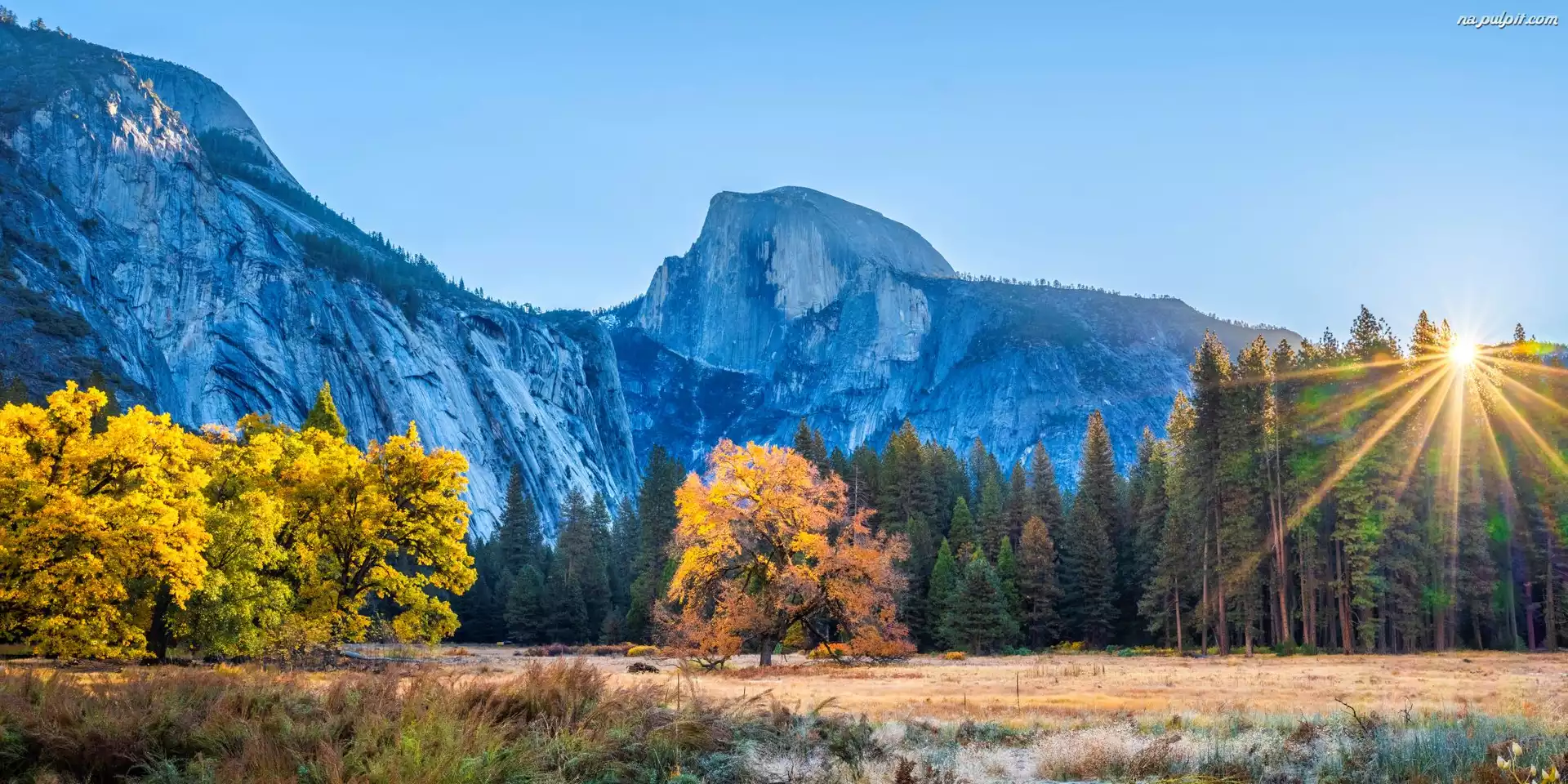 Jesień, Las, Promienie słońca, Park Narodowy Yosemite, Stany Zjednoczone, Kalifornia, Góry, Drzewa