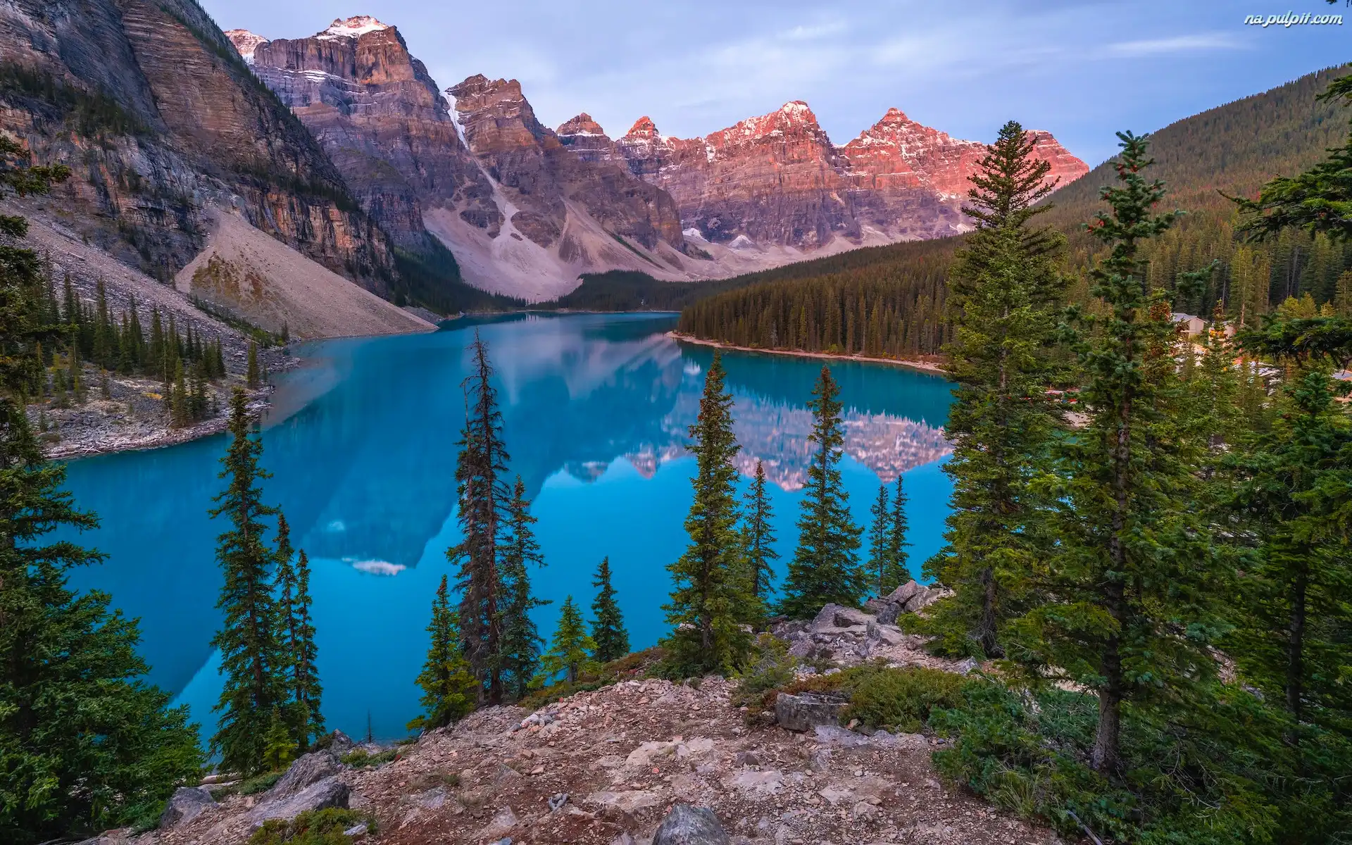 Jezioro, Park Narodowy Banff, Moraine Lake, Kanada, Skała, Drzewa, Alberta, Góry