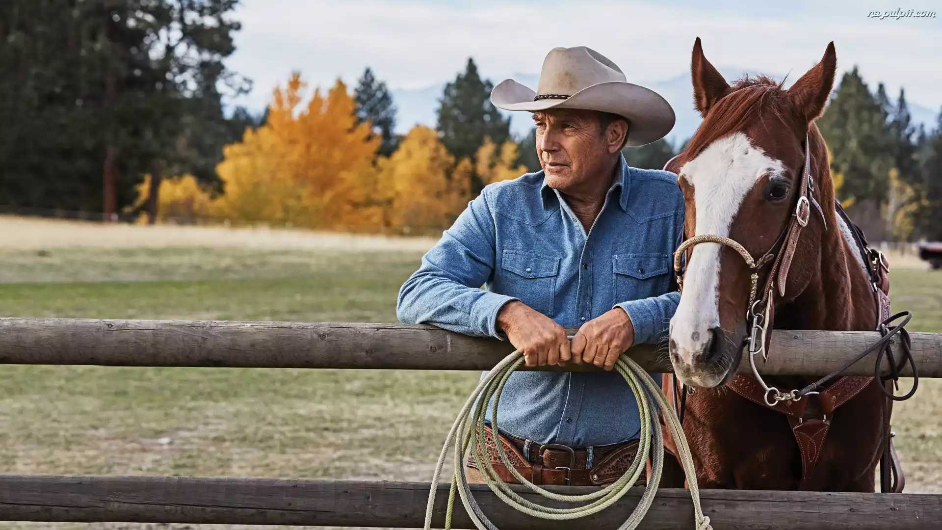 Kowboj, Serial, Aktor, Kevin Costner, Yellowstone, Koń
