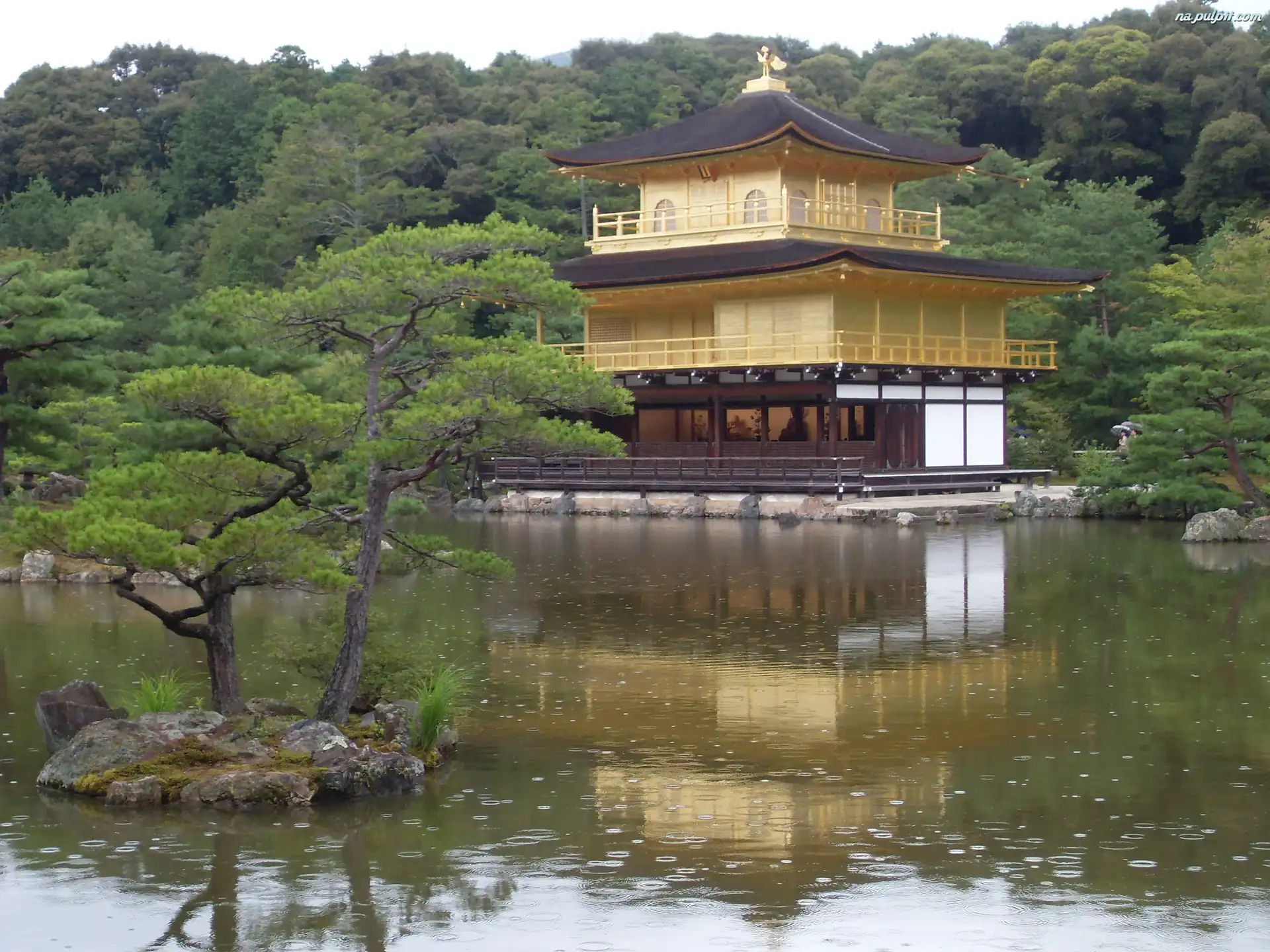 Złoty Pawilon, Kioto, Japonia, Staw Kyko chi, Świątynia Kinkakuji, Drzewa