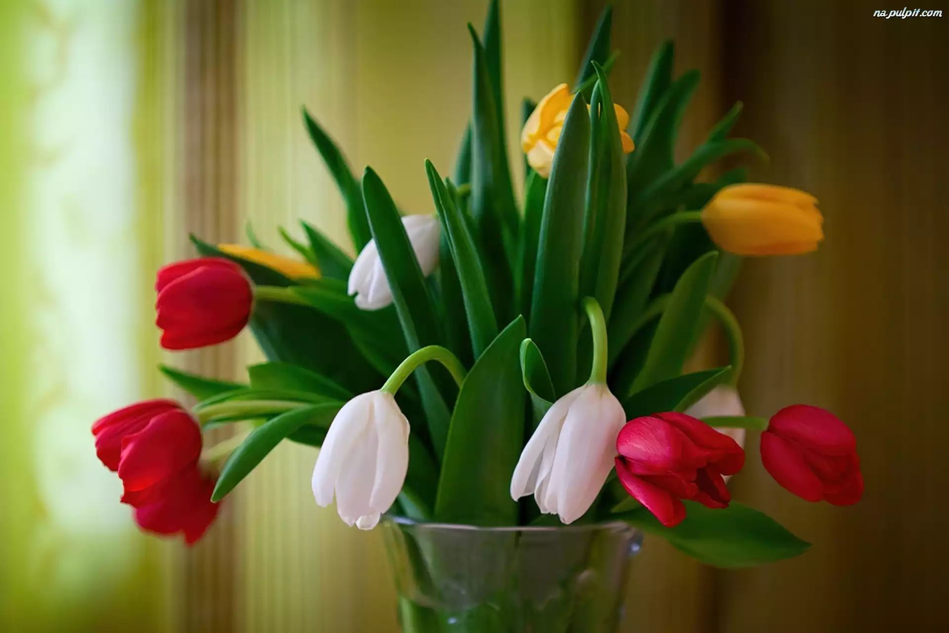 Wazon, Kolorowe, Tulipany