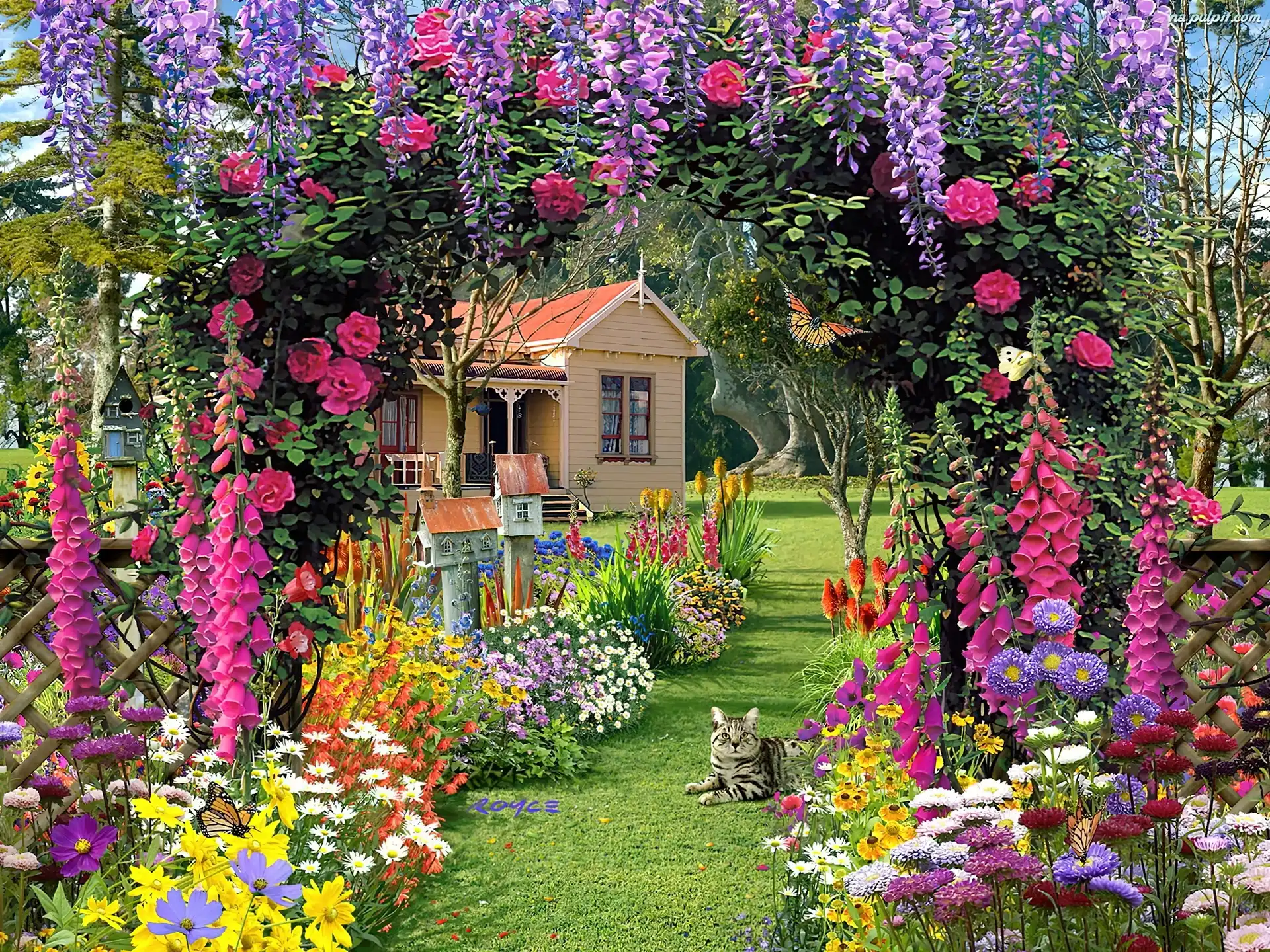 Komputerowa, Kot, Kwiaty, Ogród, Grafika