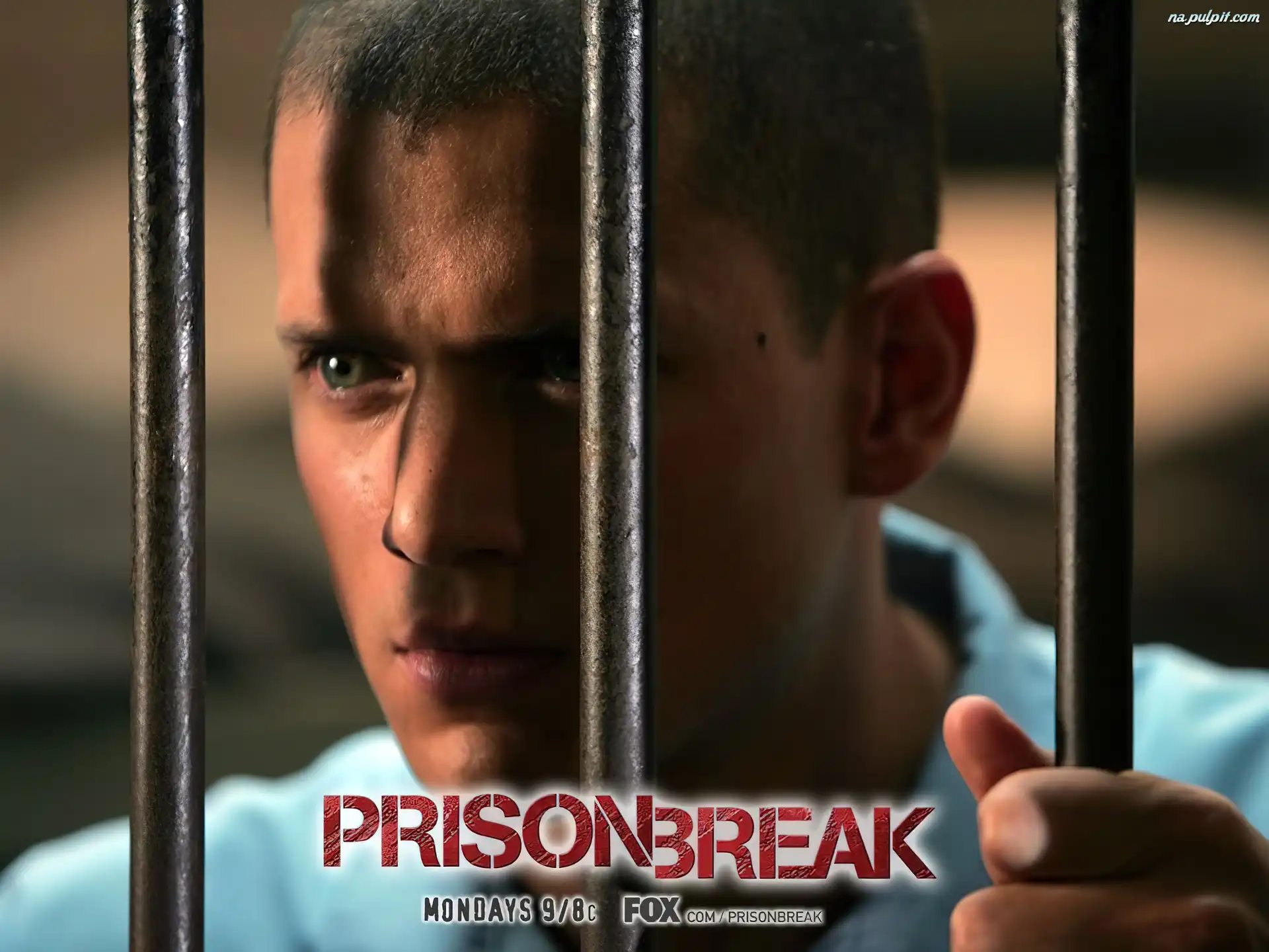kraty, Prison Break, Wentworth Miller