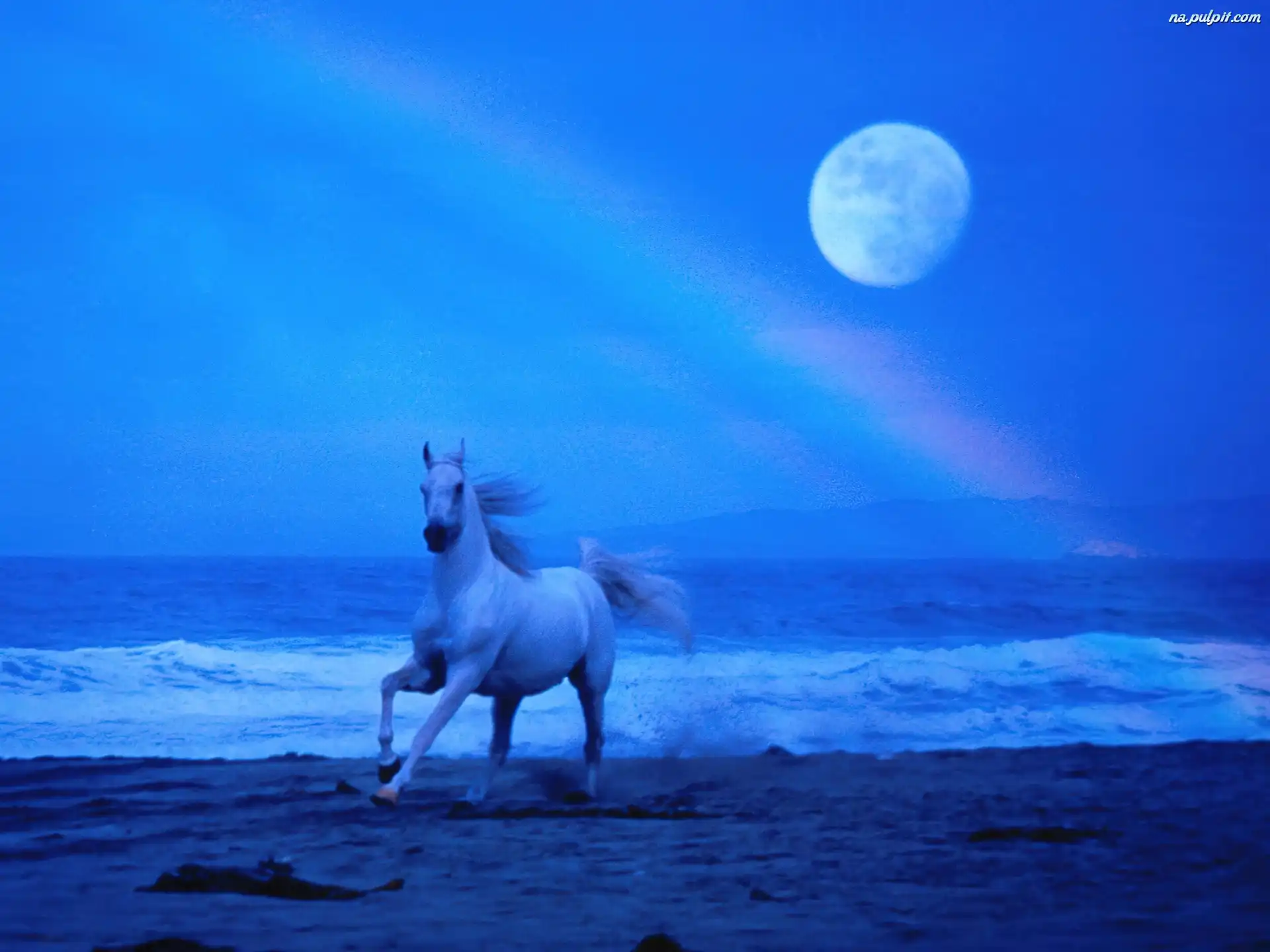 księżyc, morze, Koń, woda