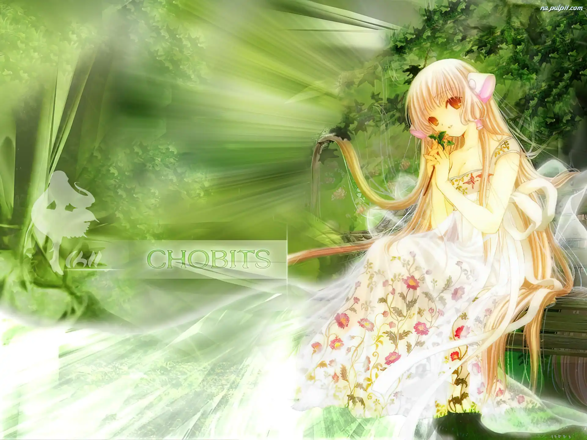 Kwiaty, Suknia, Chobits, W