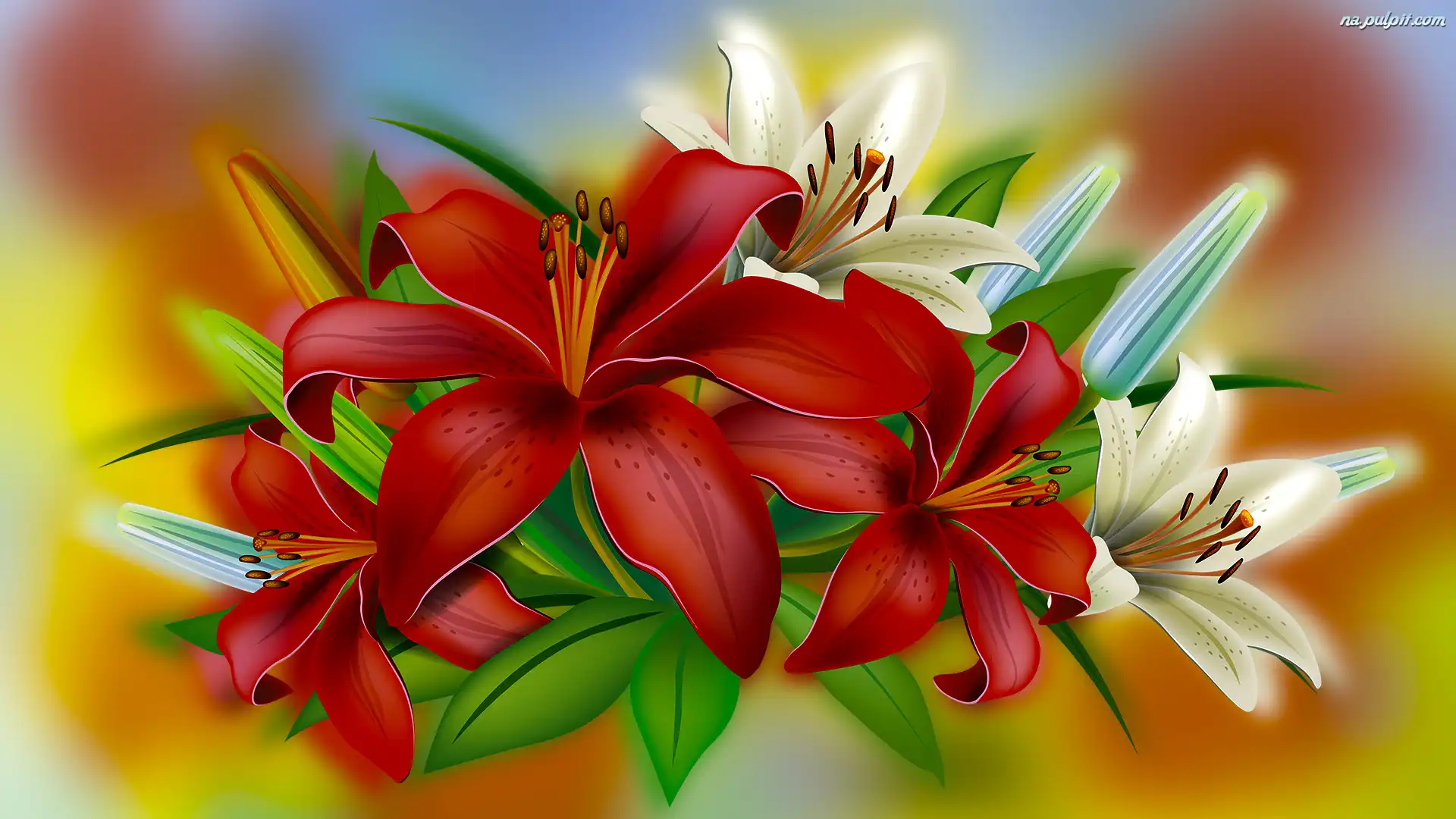 Lilie, Kwiaty, Czerwone, 2D, Białe