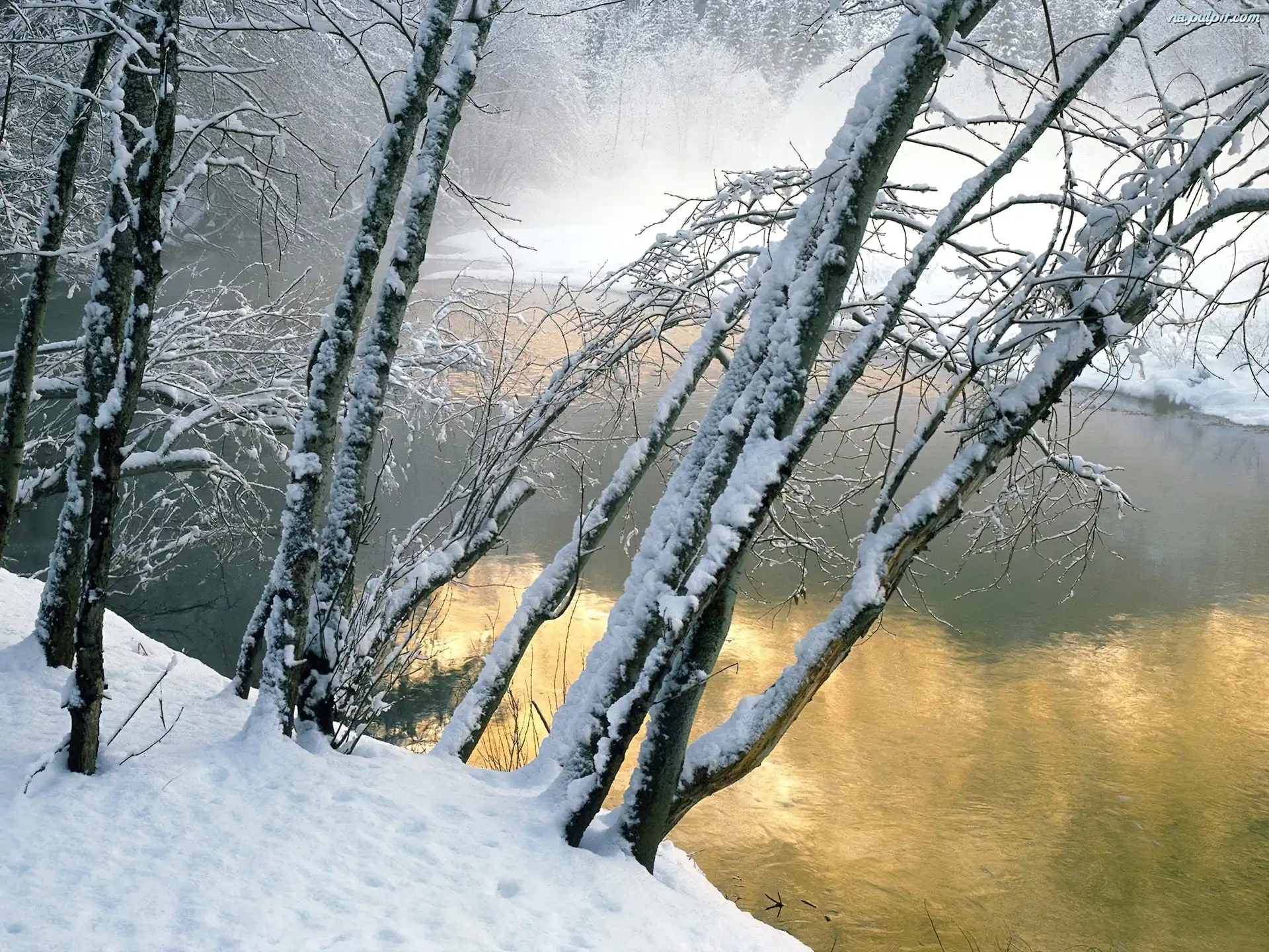 Zima, Leśna, Rzeka