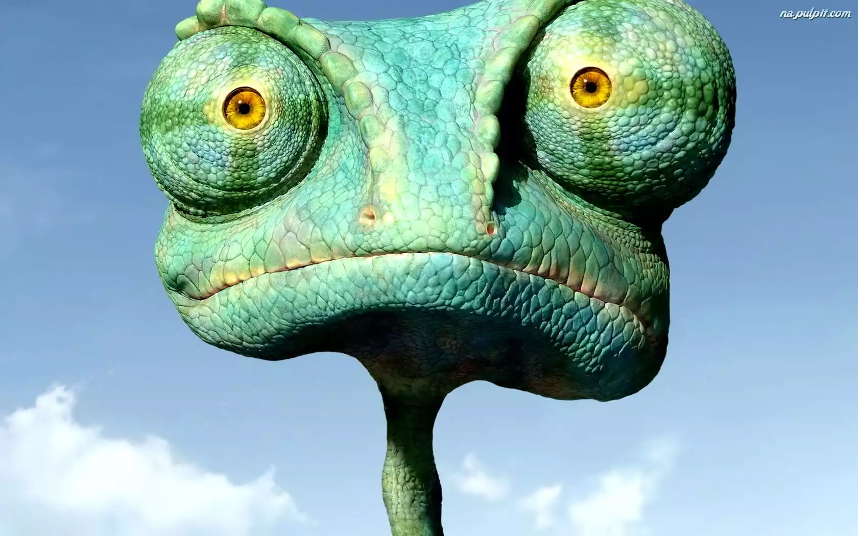 Smieszny Kameleon Na Pulpit