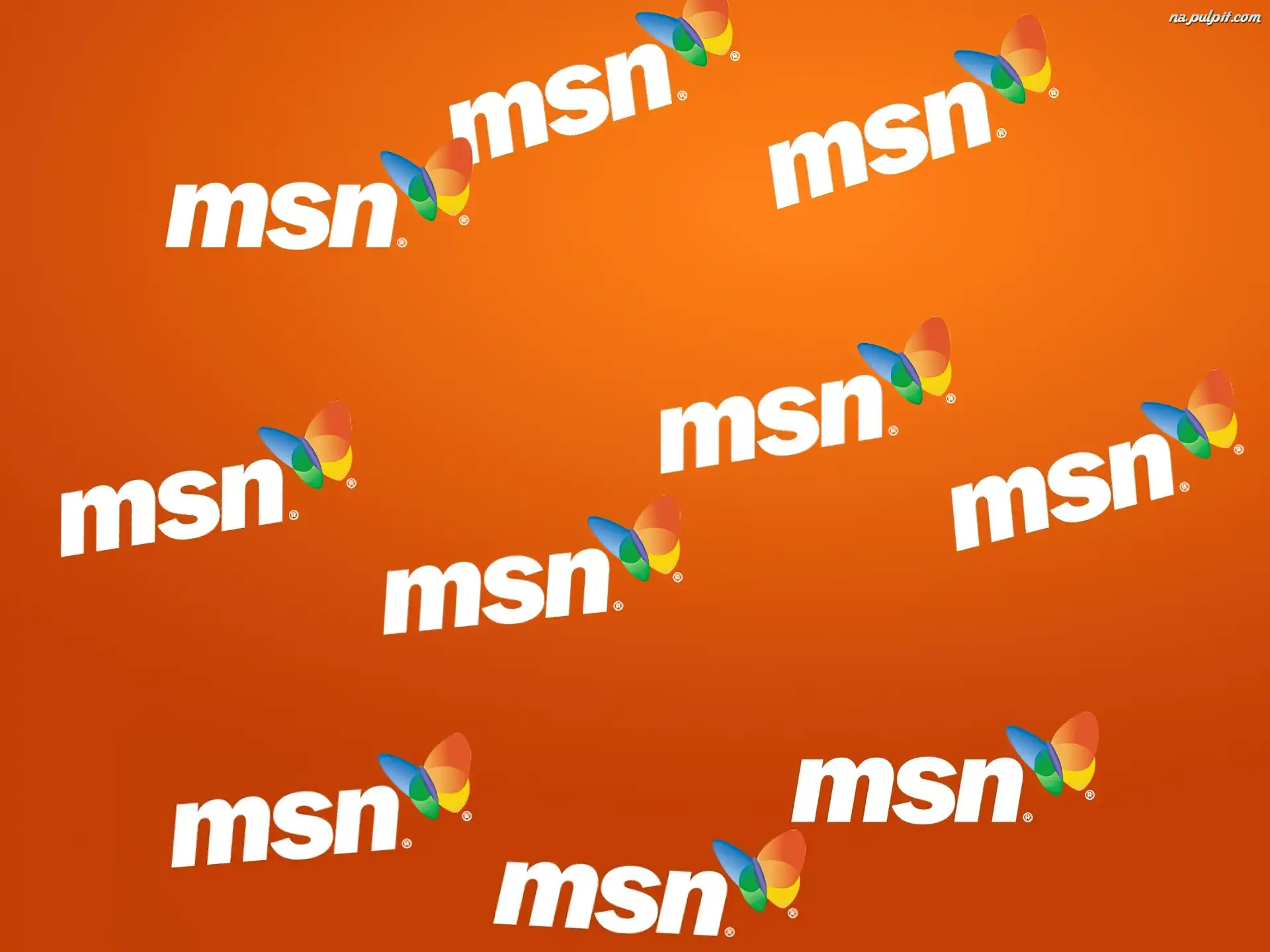 motyl, Programy MSN, grafika