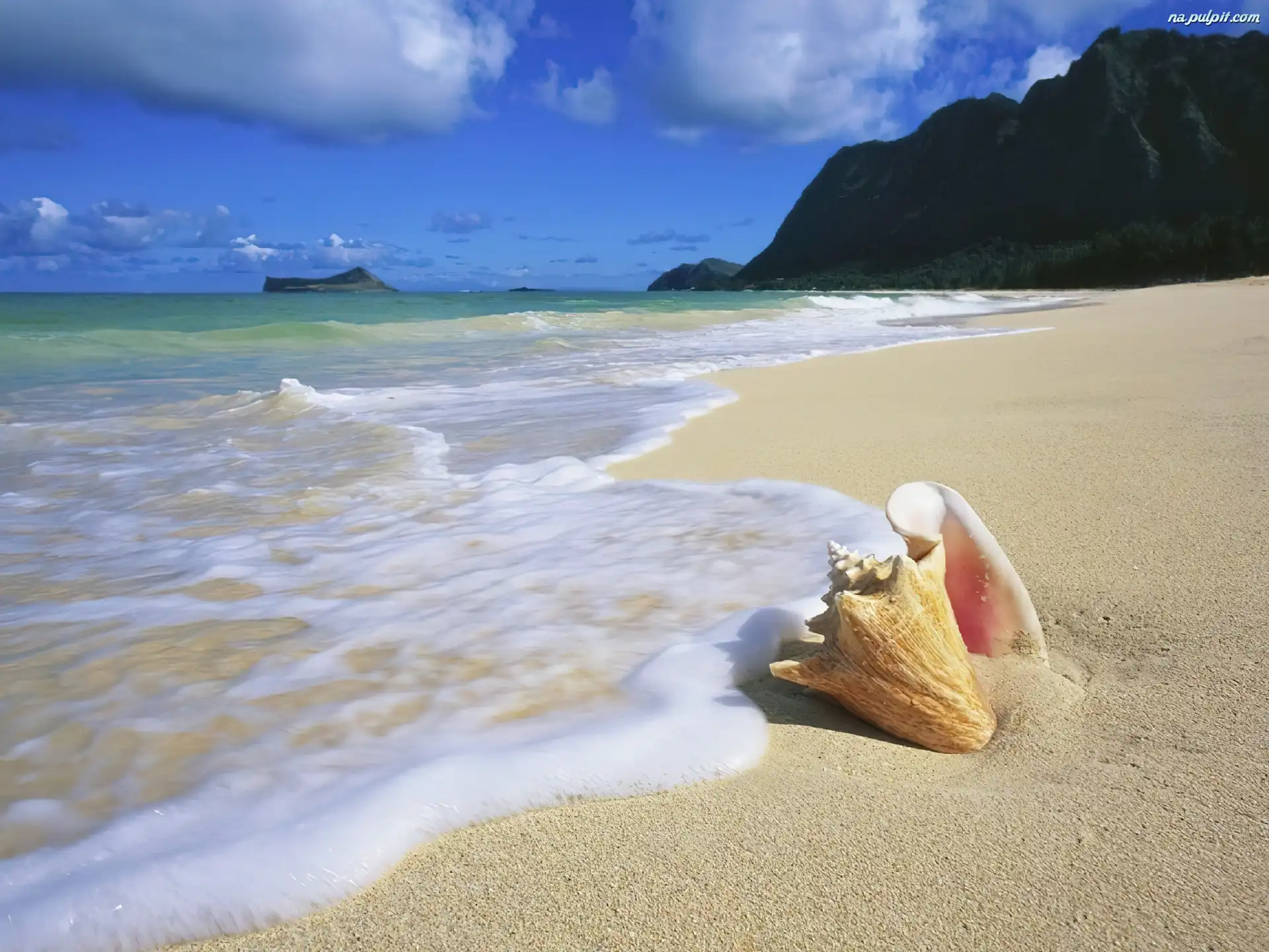 Muszelka, Woda, Hawaje, Oahu, Plaża