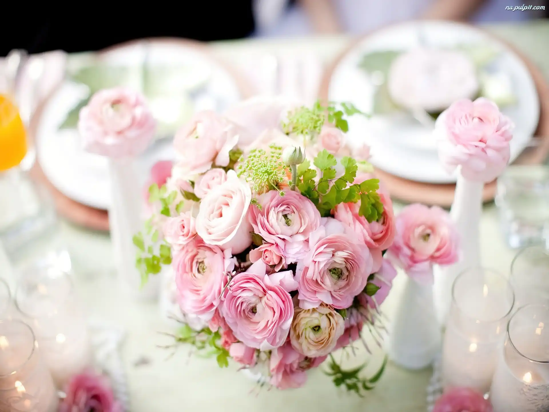 Jaskier, Ranunkulus, Azjatycki