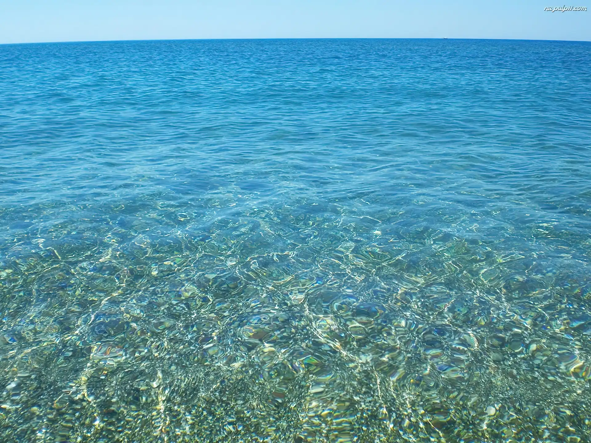 Ocean