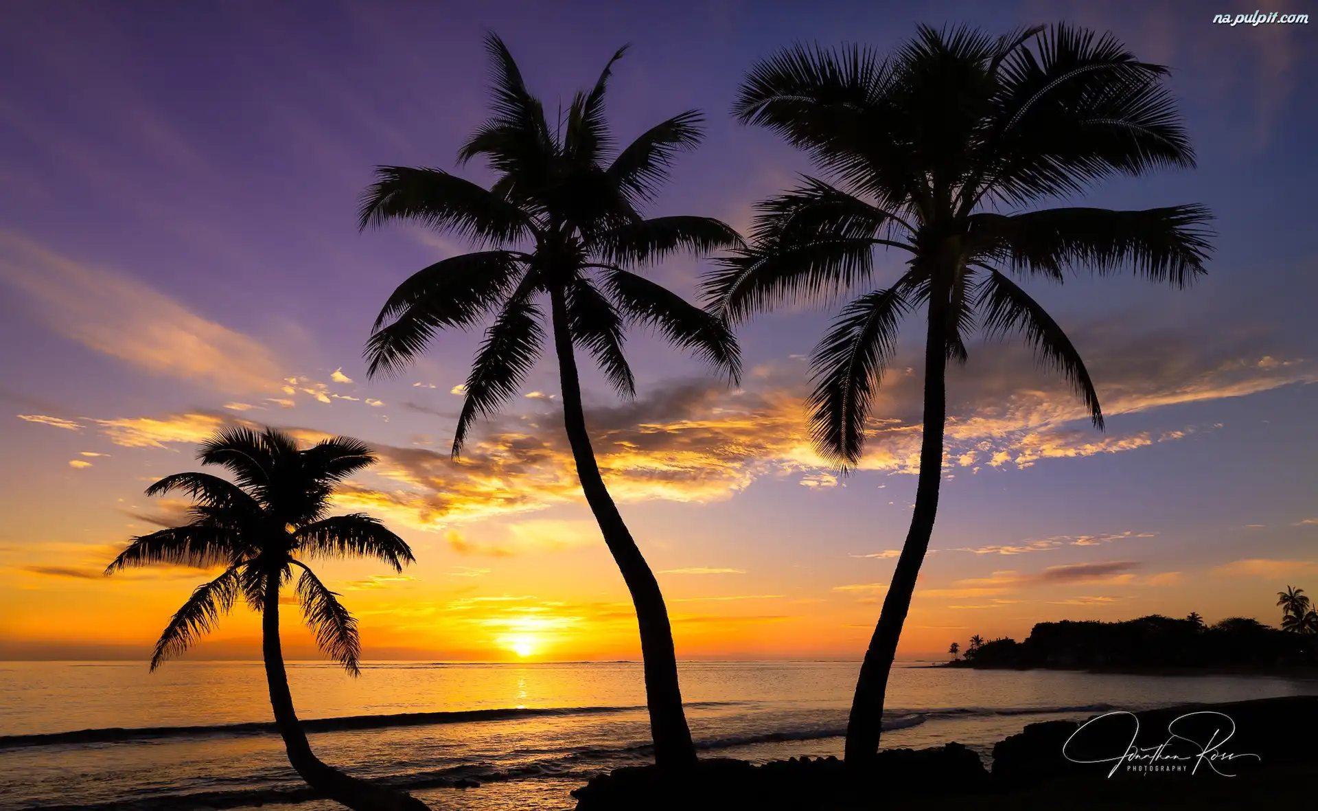 Palmy, Stany Zjednoczone, Wyspa Oahu, Morze, Hawaje, Zachód słońca