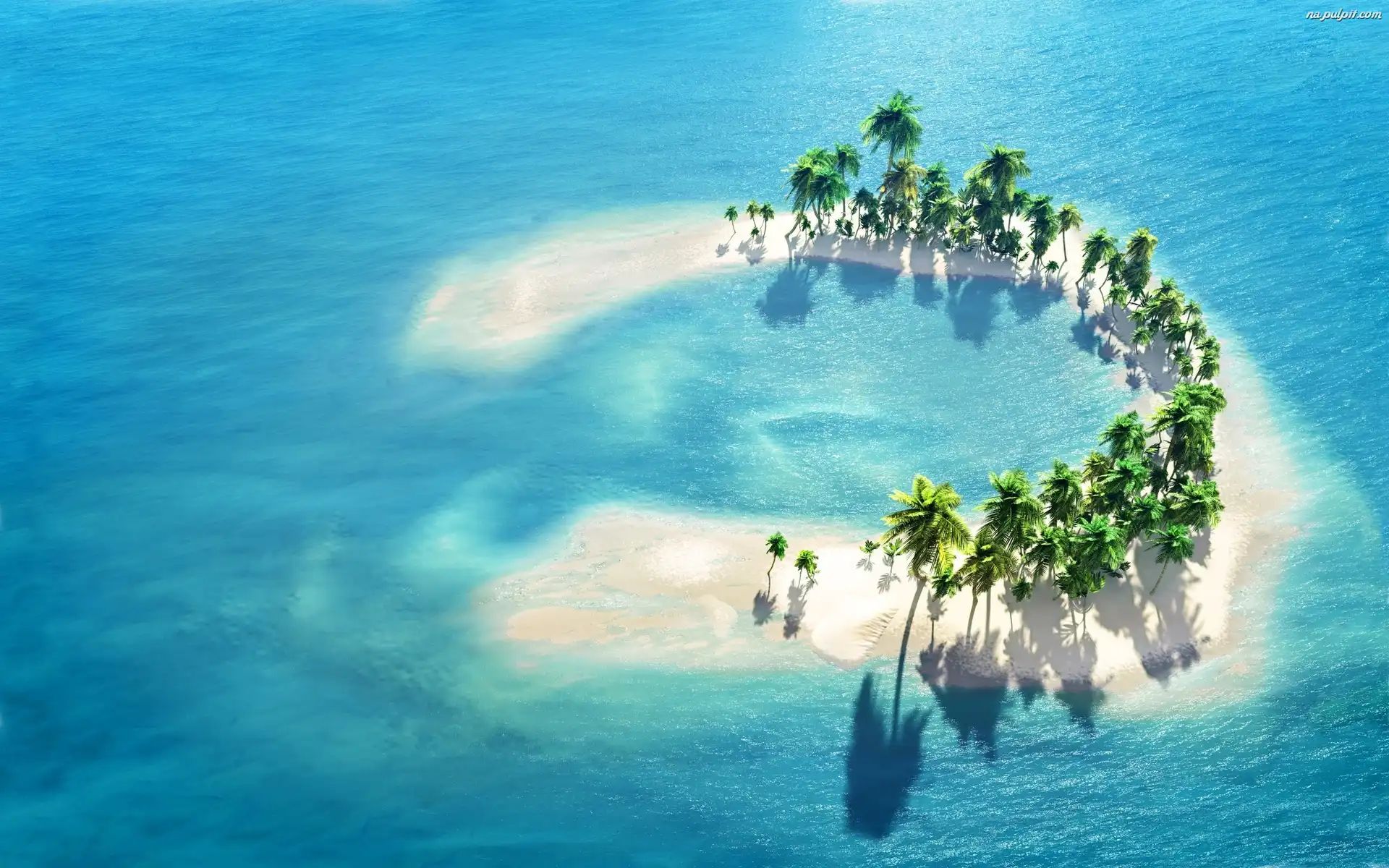Palmy Bezludna Morze Wyspa Na Pulpit 