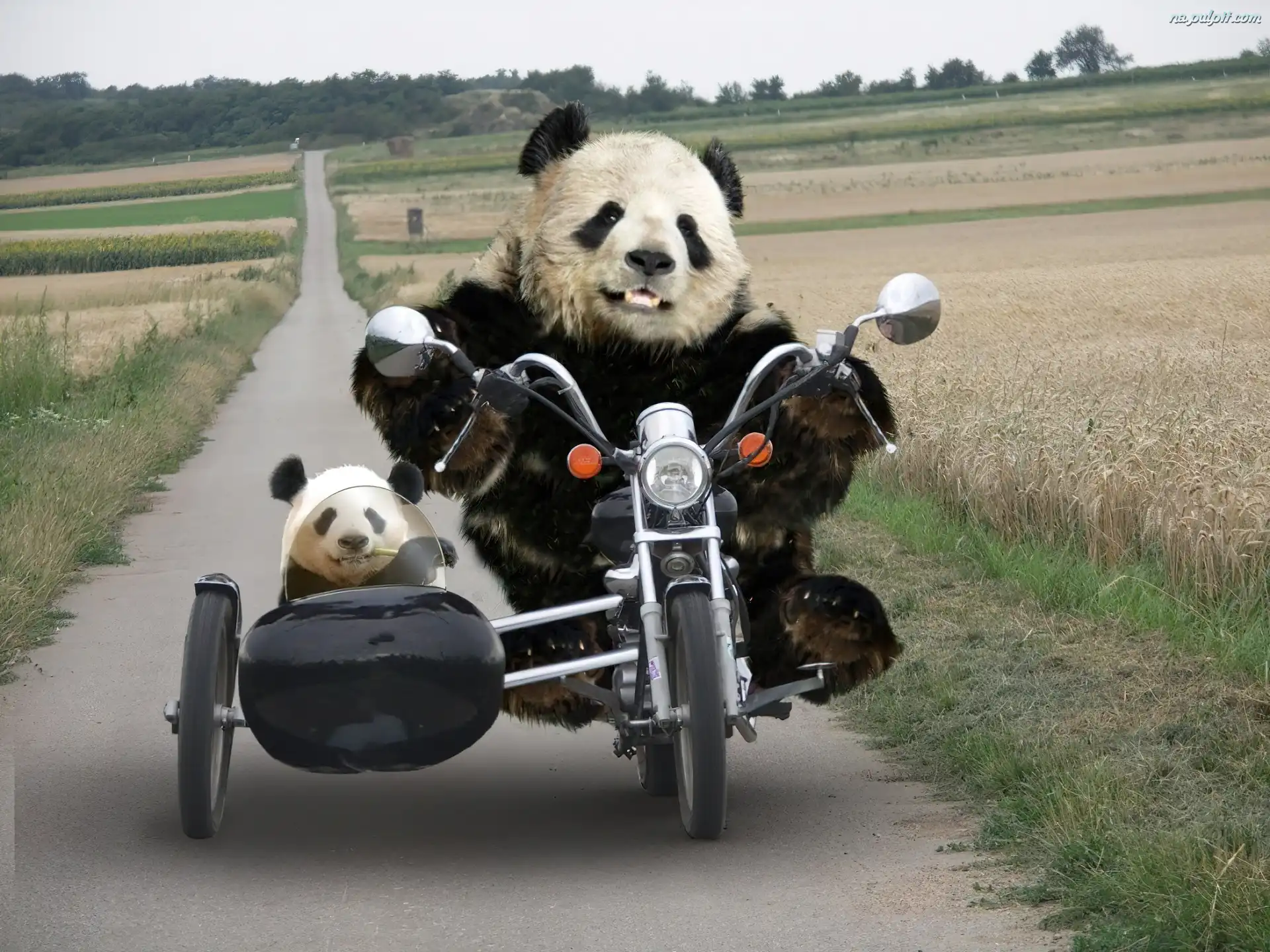 Motocyklu, Pandy, Na