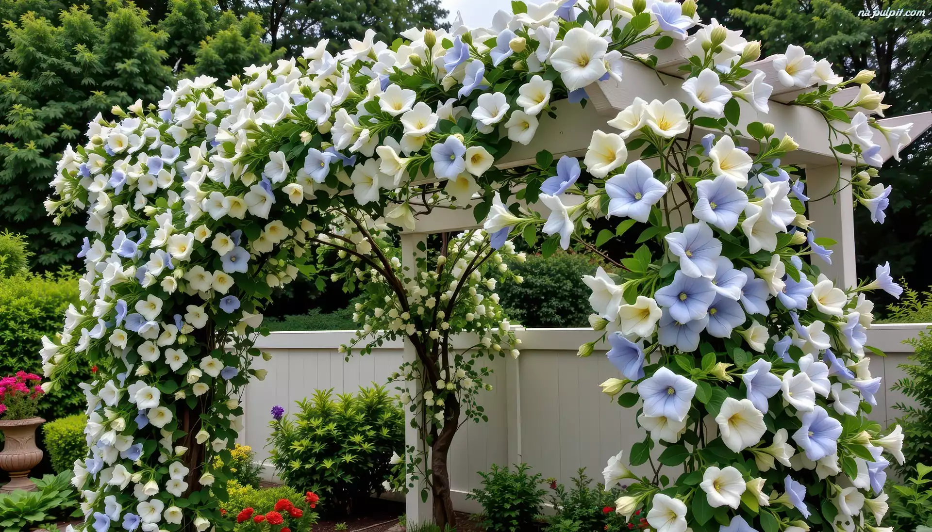 Kwiaty, Pergola, Płot, Grafika AI
