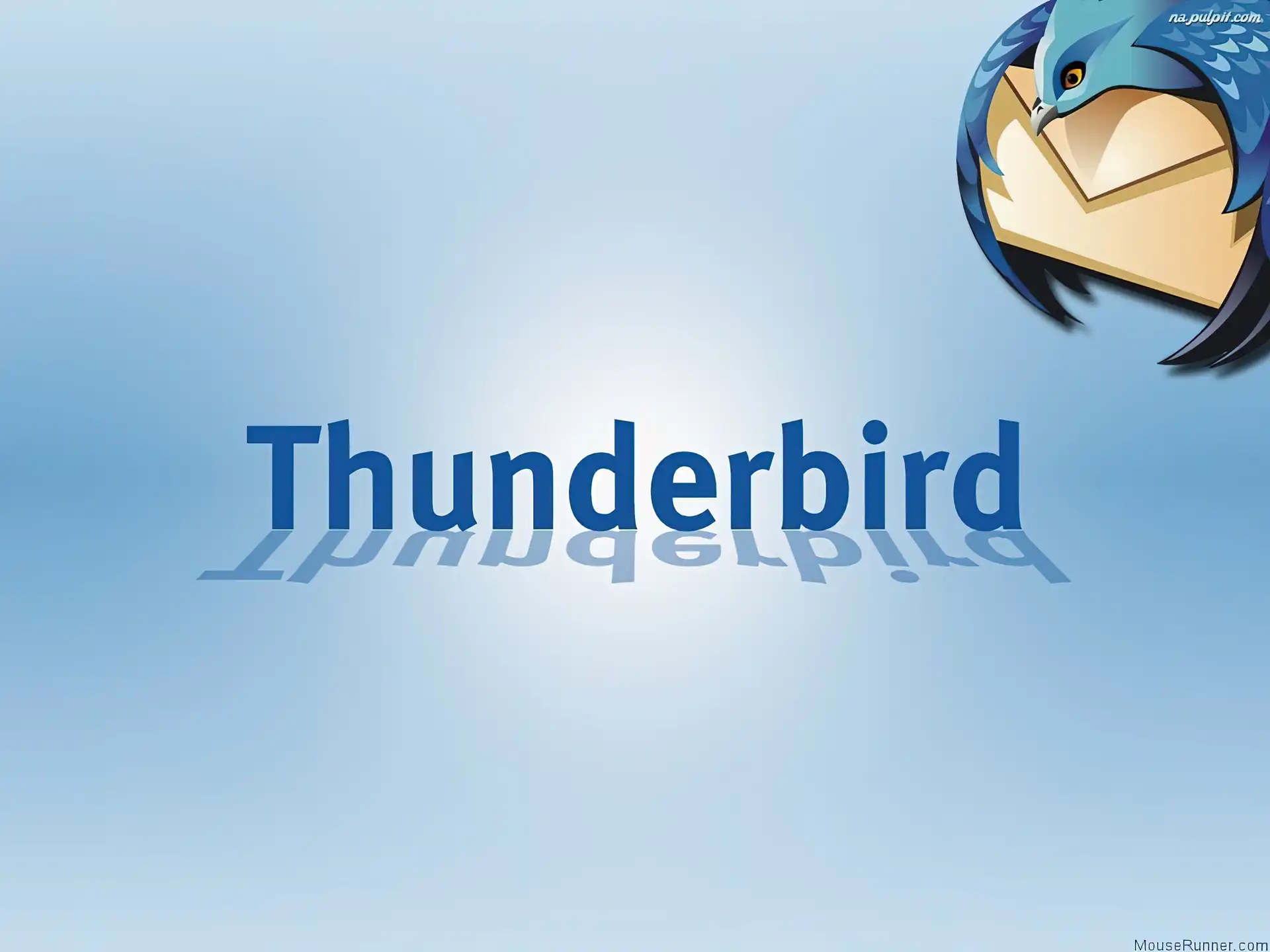 ptak, koperta, Thunderbird, grafika