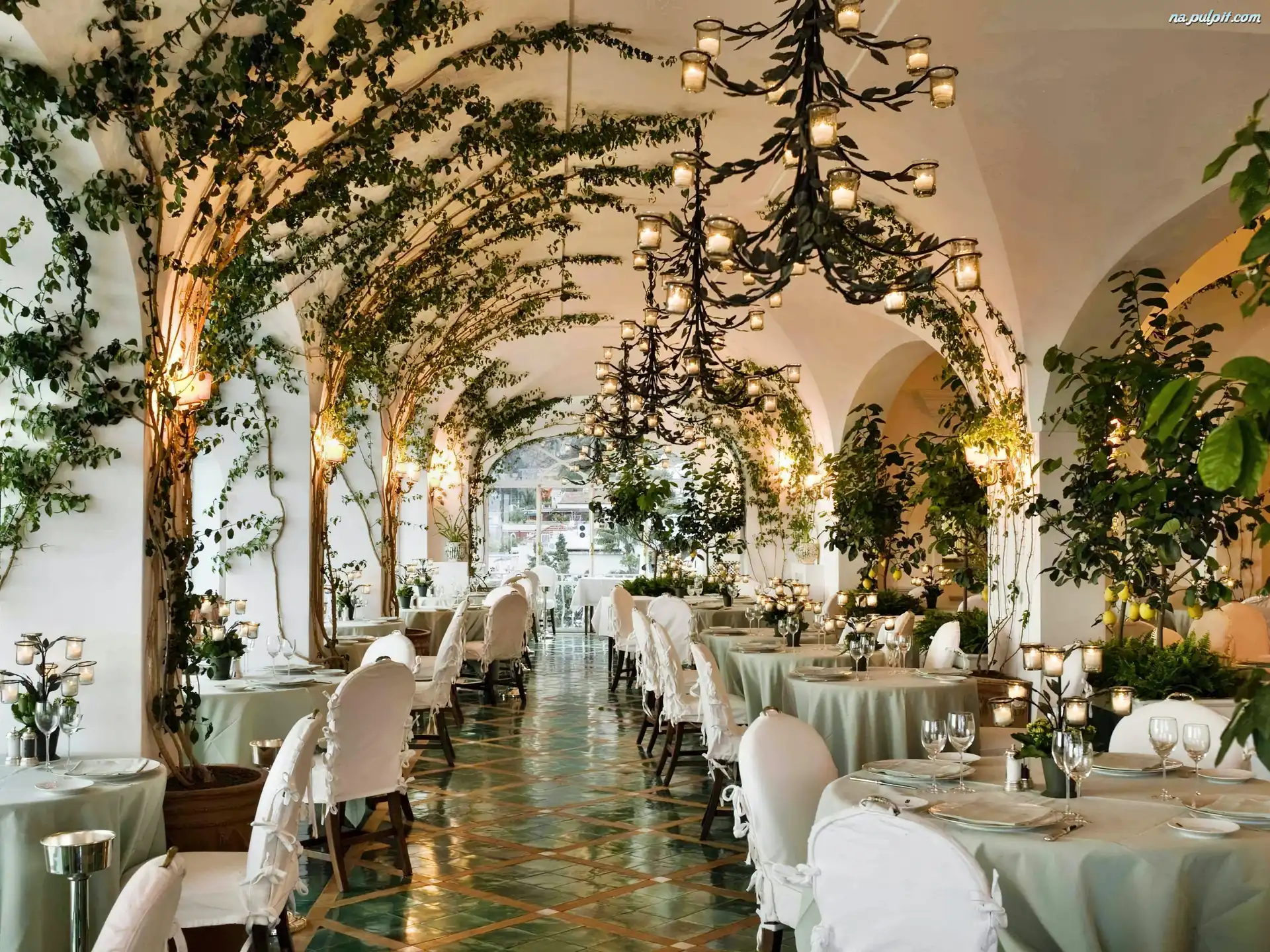 Bluszcz, Restauracja, Łuki