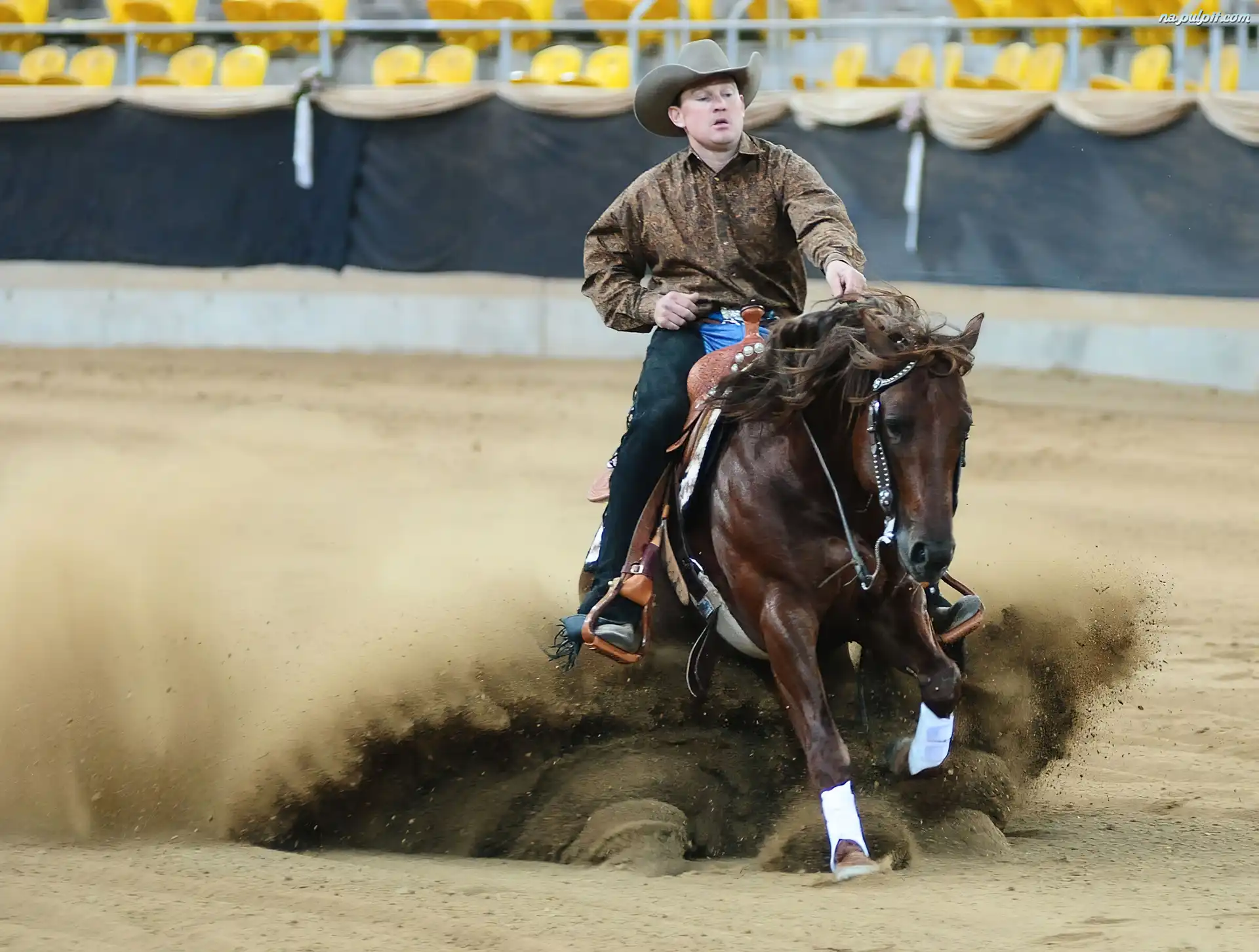 Koń, Rodeo, Kowboj