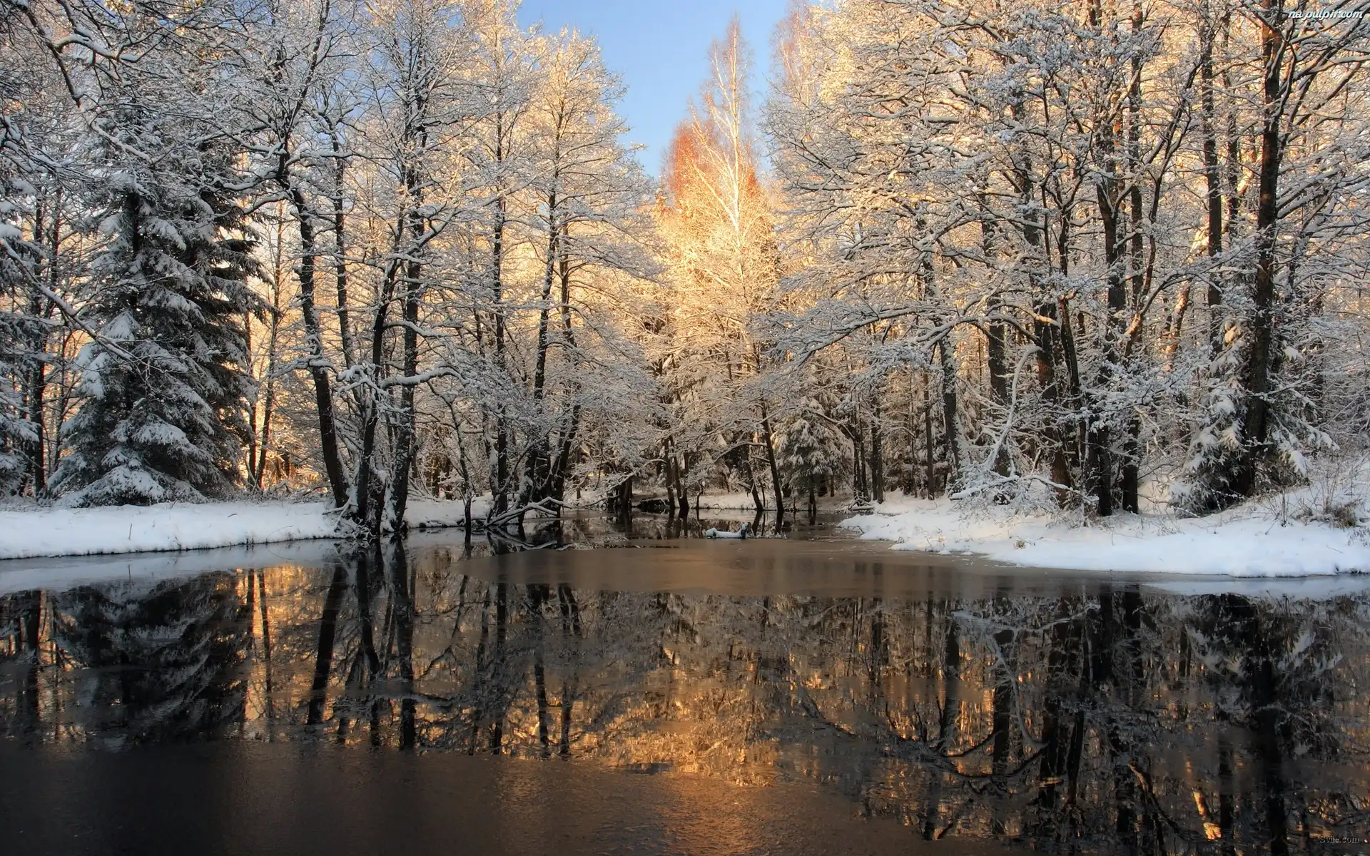 Drzewa, Rzeka, Śnieg