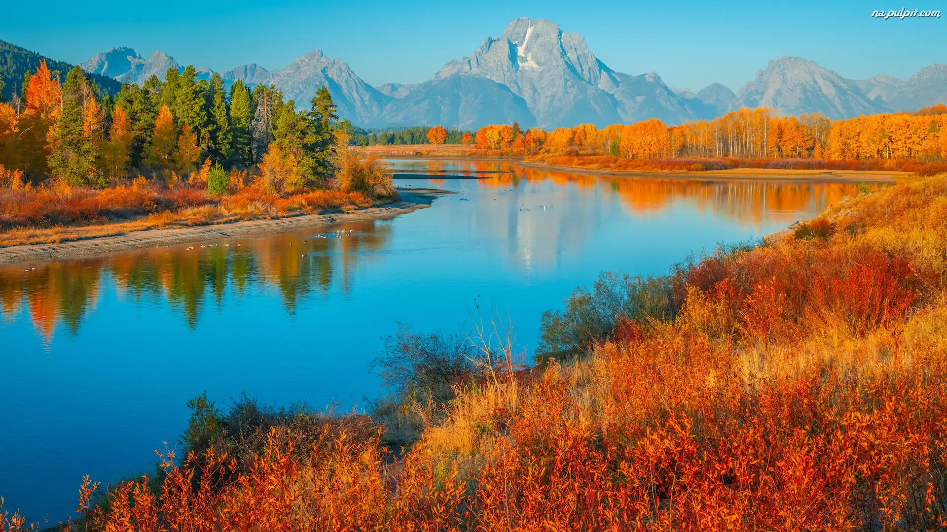 Rzeka, Drzewa, Góry, Snake River, Jesień, Stan Wyoming, Stany Zjednoczone, Teton Range, Park Narodowy Grand Teton, Trawa