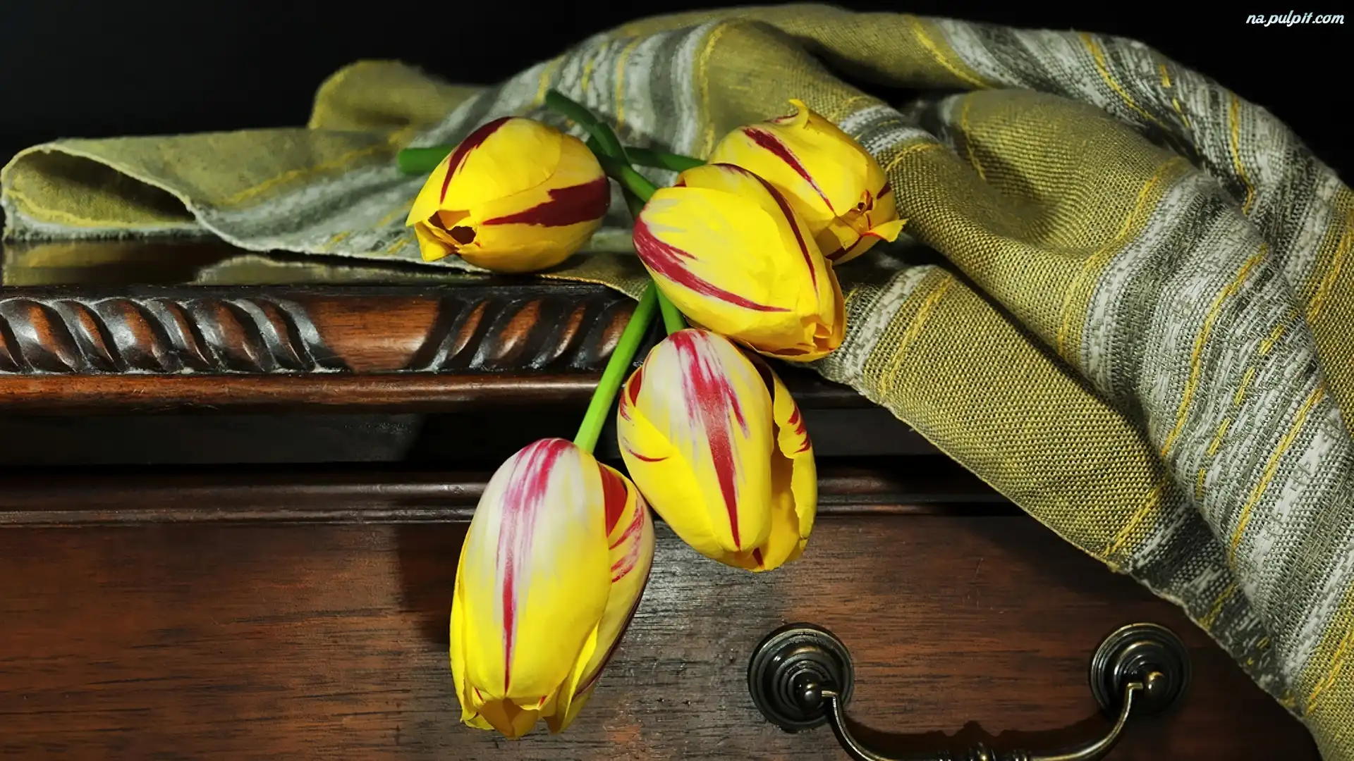 Skrzynia, Tulipany, Kolorowe, Narzuta