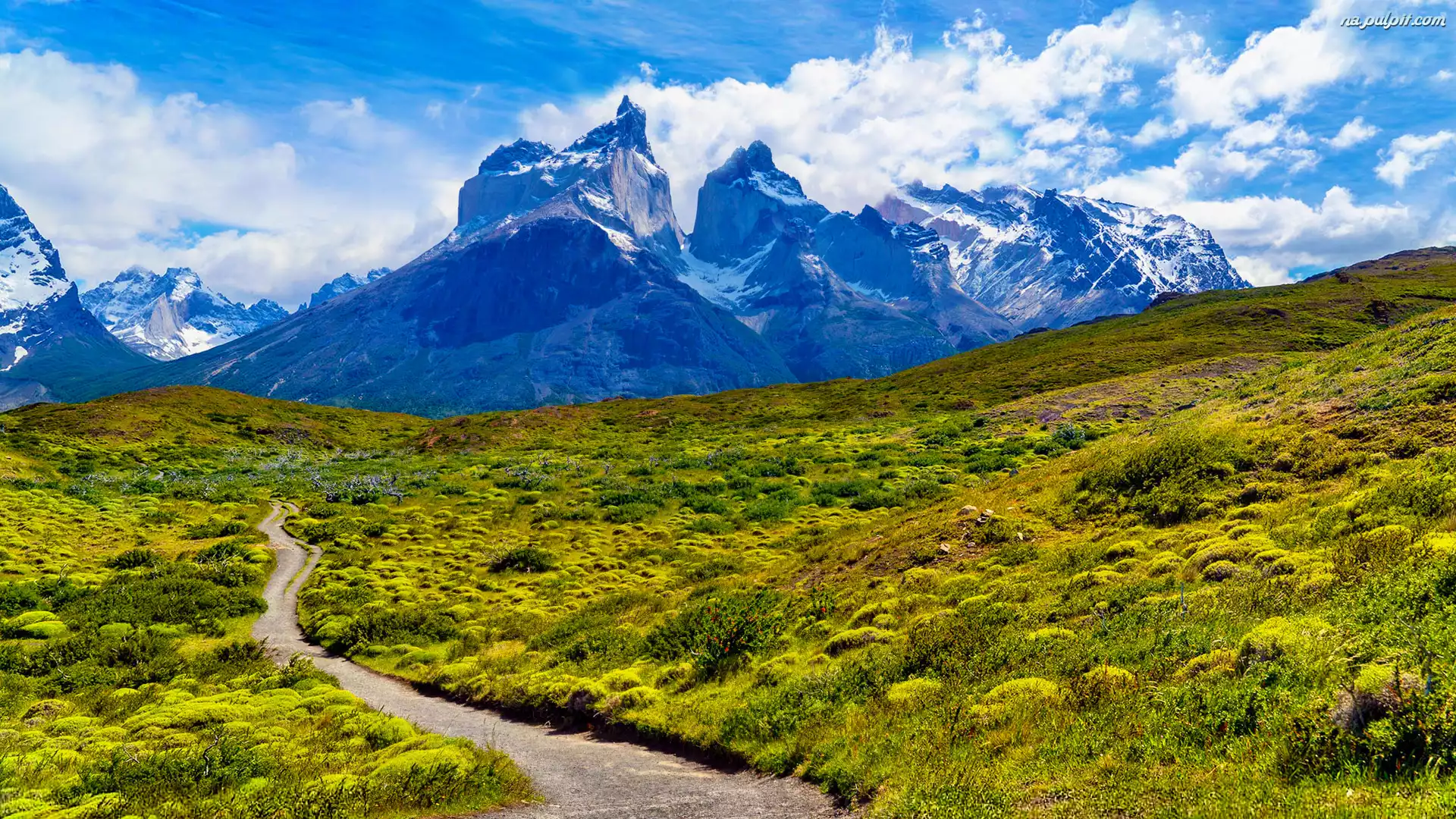 Patagonia, Torres del Paine, Chile, Masyw, Łąka, Park Narodowy Torres del Paine, Góry, Droga, Chmury, Zachód słońca