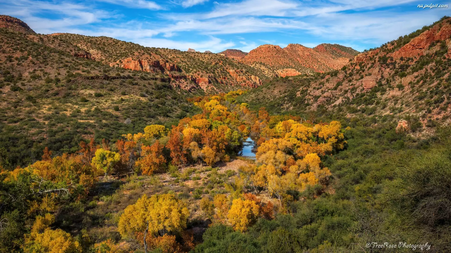 Stany Zjednoczone, Kanion Sycamore, Rzeka, Jesień, Drzewa, Góry, Arizona