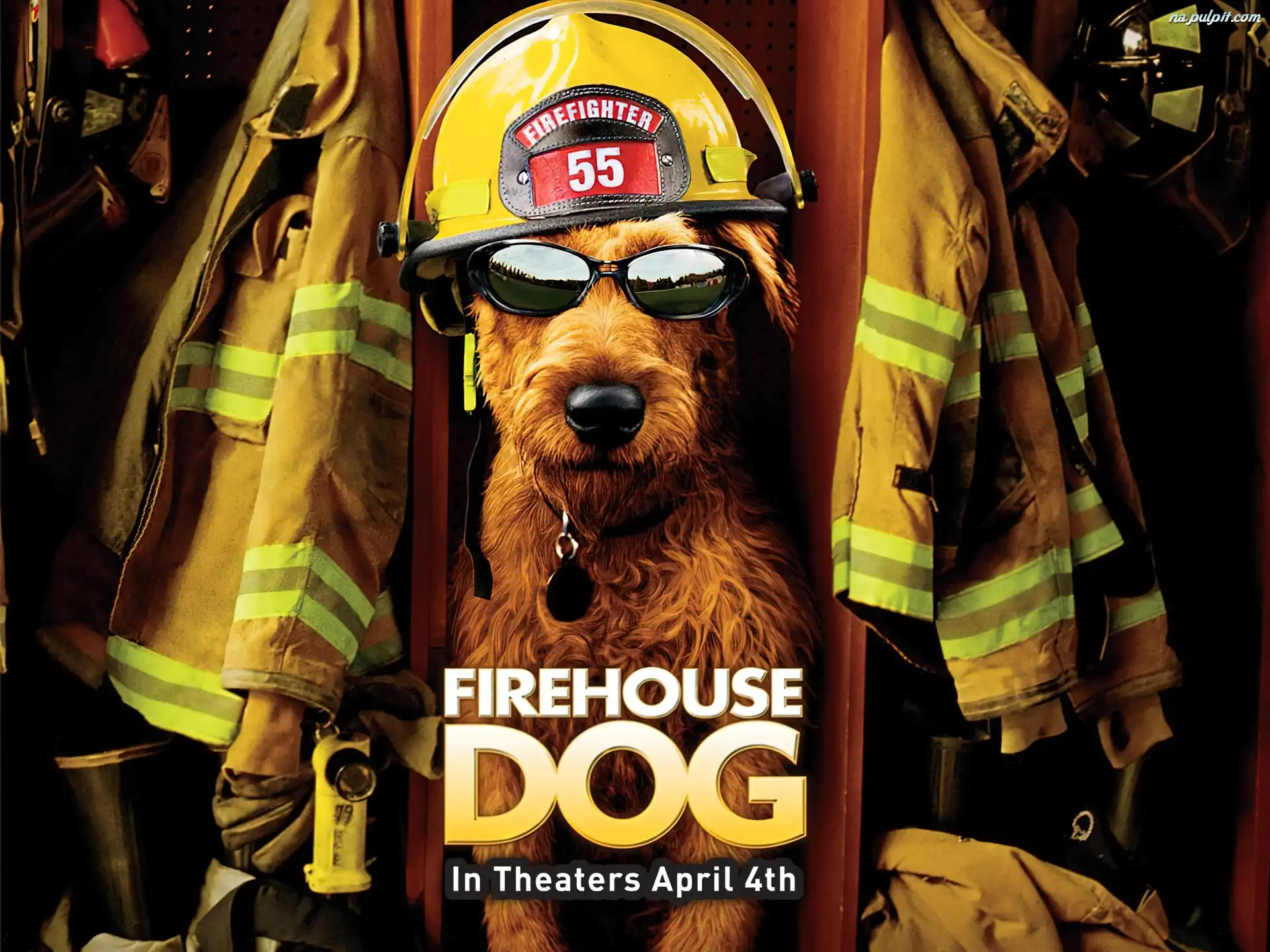 strażak, Firehouse Dog, pies
