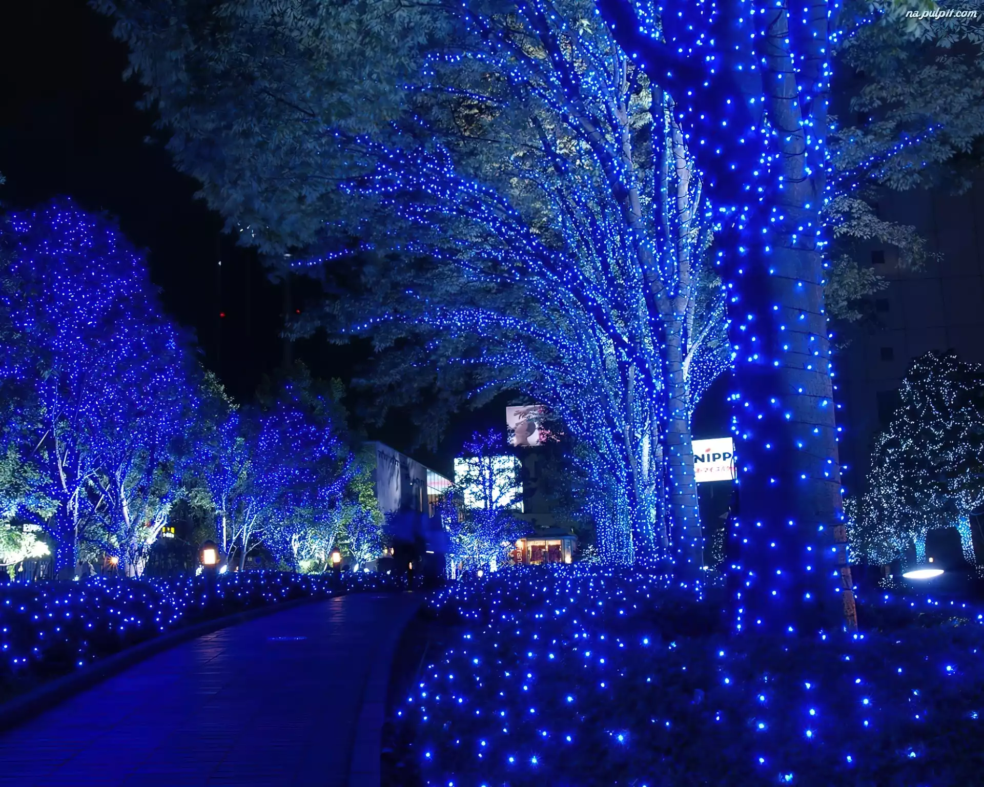 Święta, Tokio, Japonia