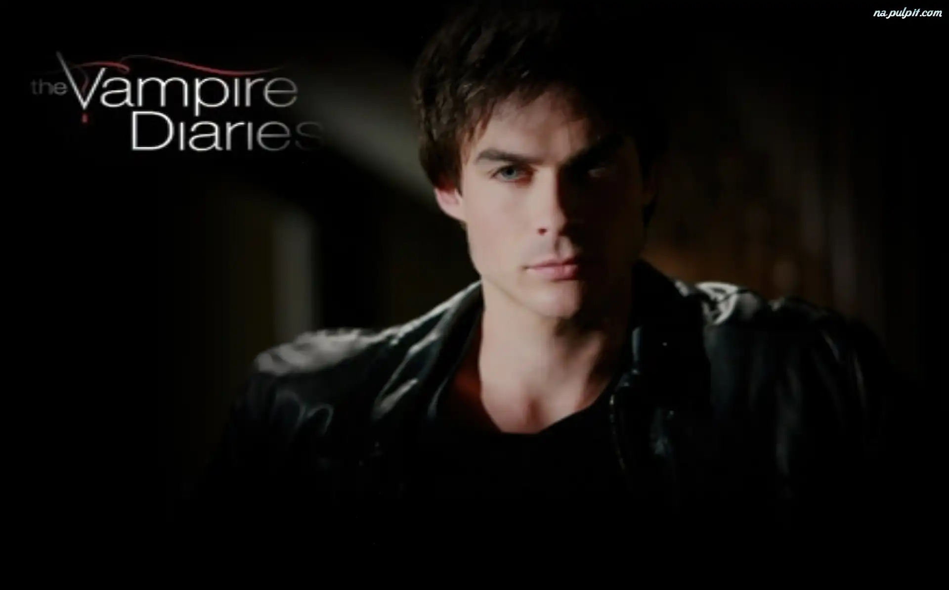 Vampire Diaries, Damon Salvatore