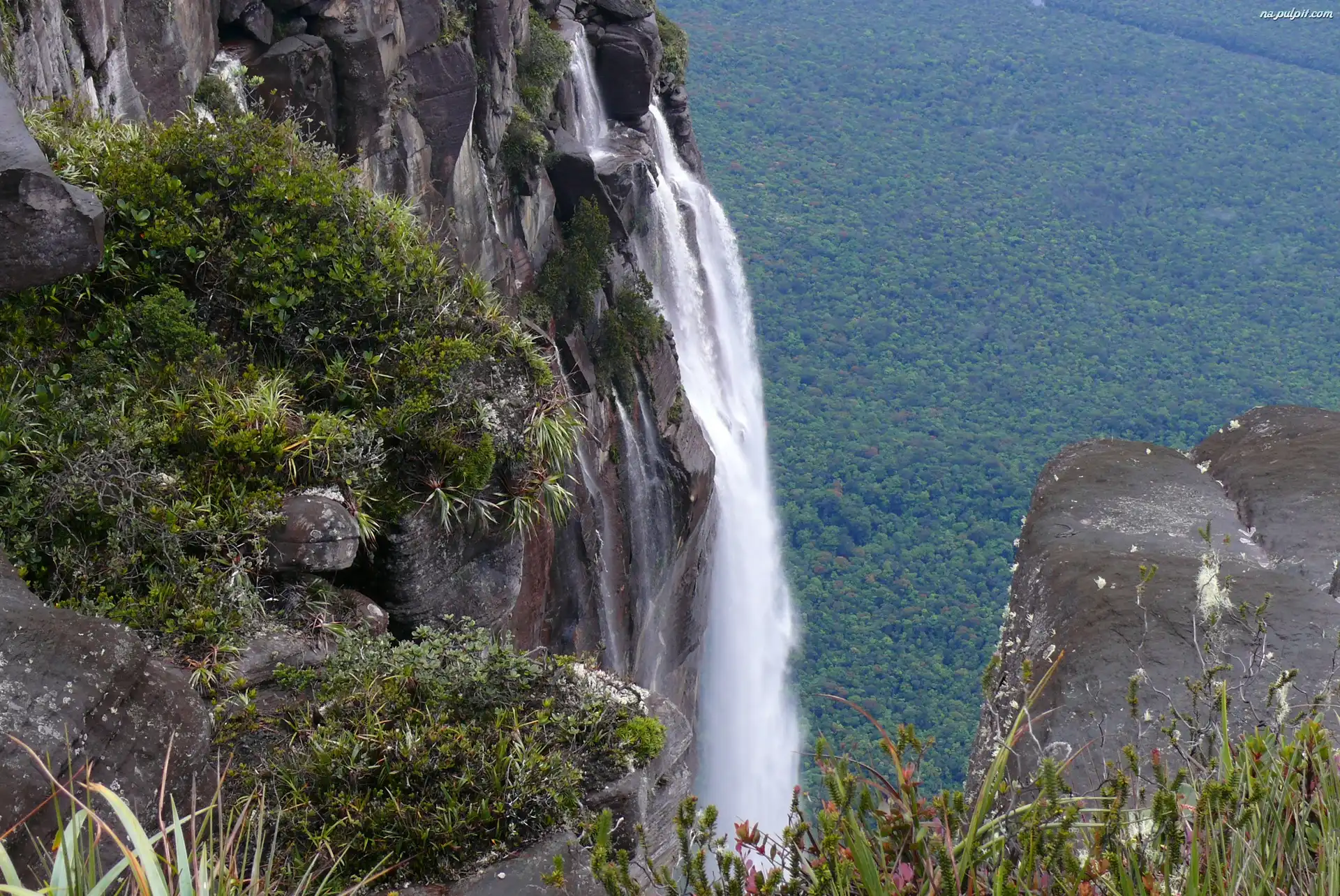 Wenezuela, Wodospad, Salto Angel