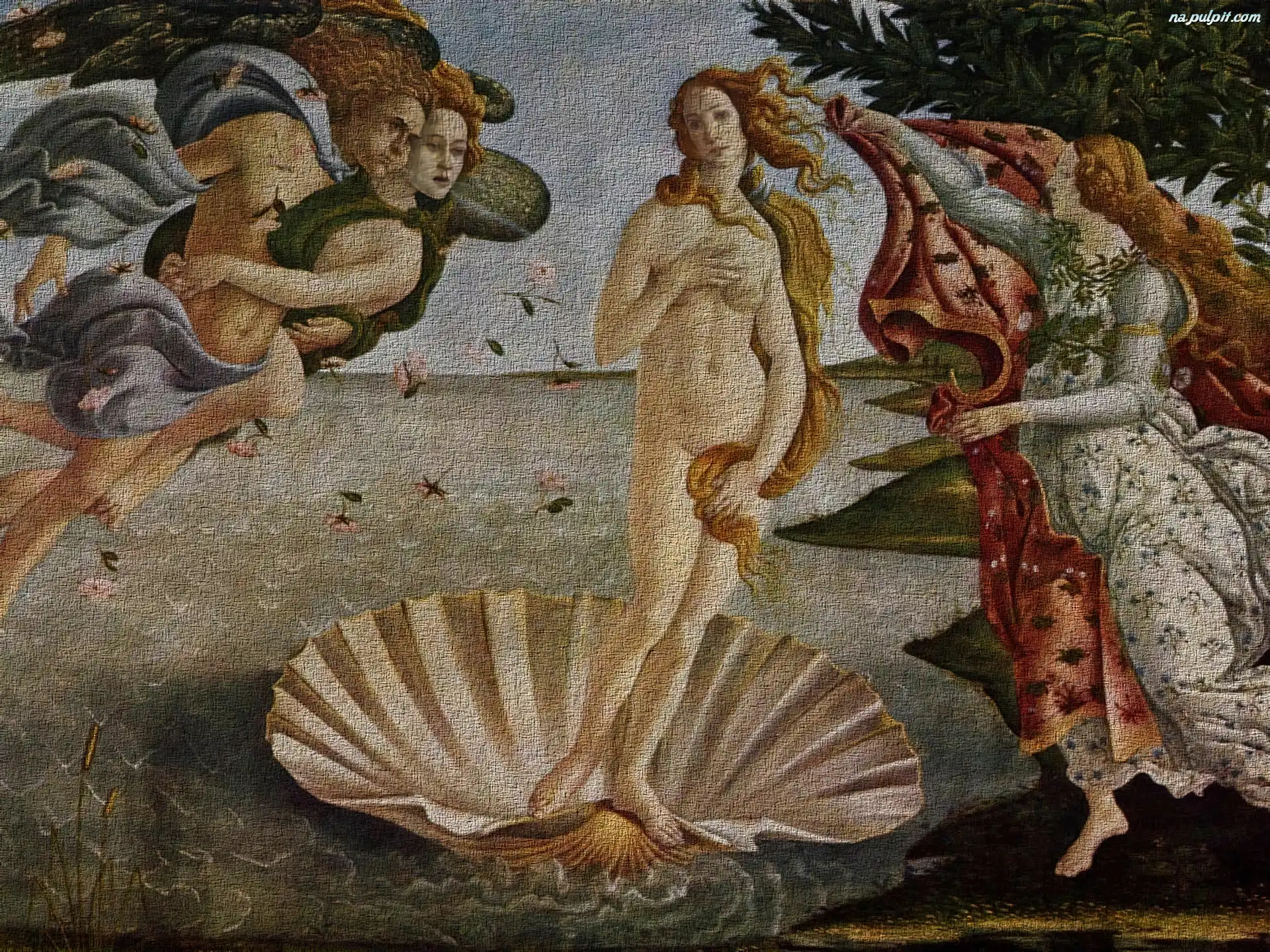 Botticelli, Sandro, Narodziny, Wenus