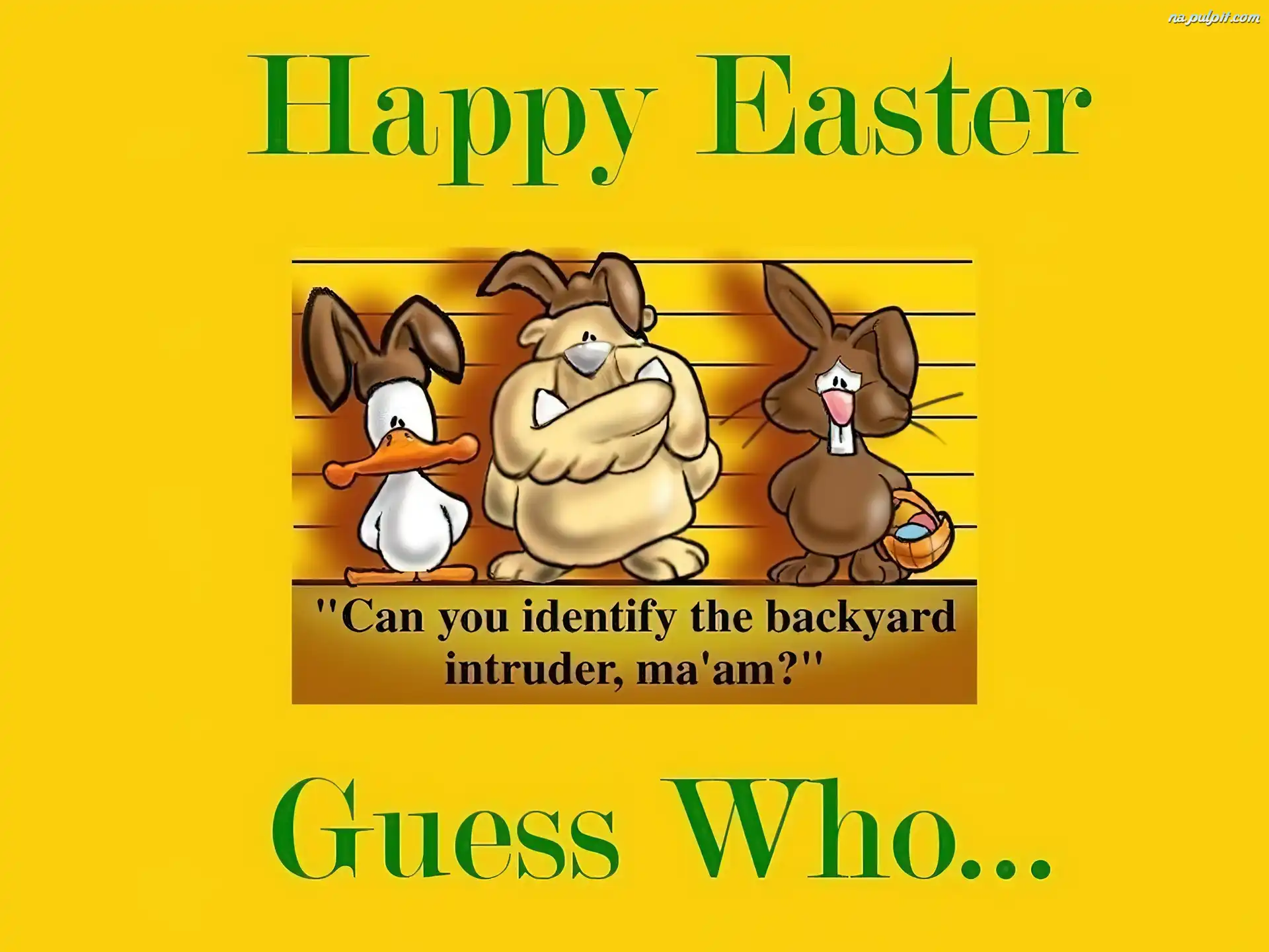 Wielkanoc, królik