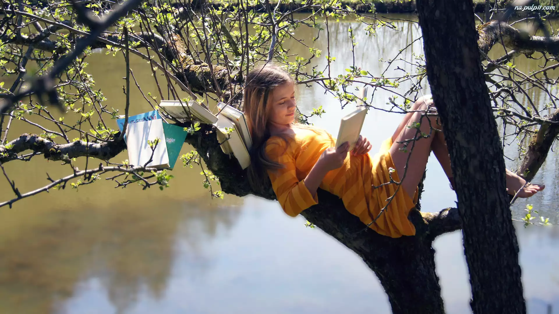 Woda, Drzewo, Dziewczynka, Książki