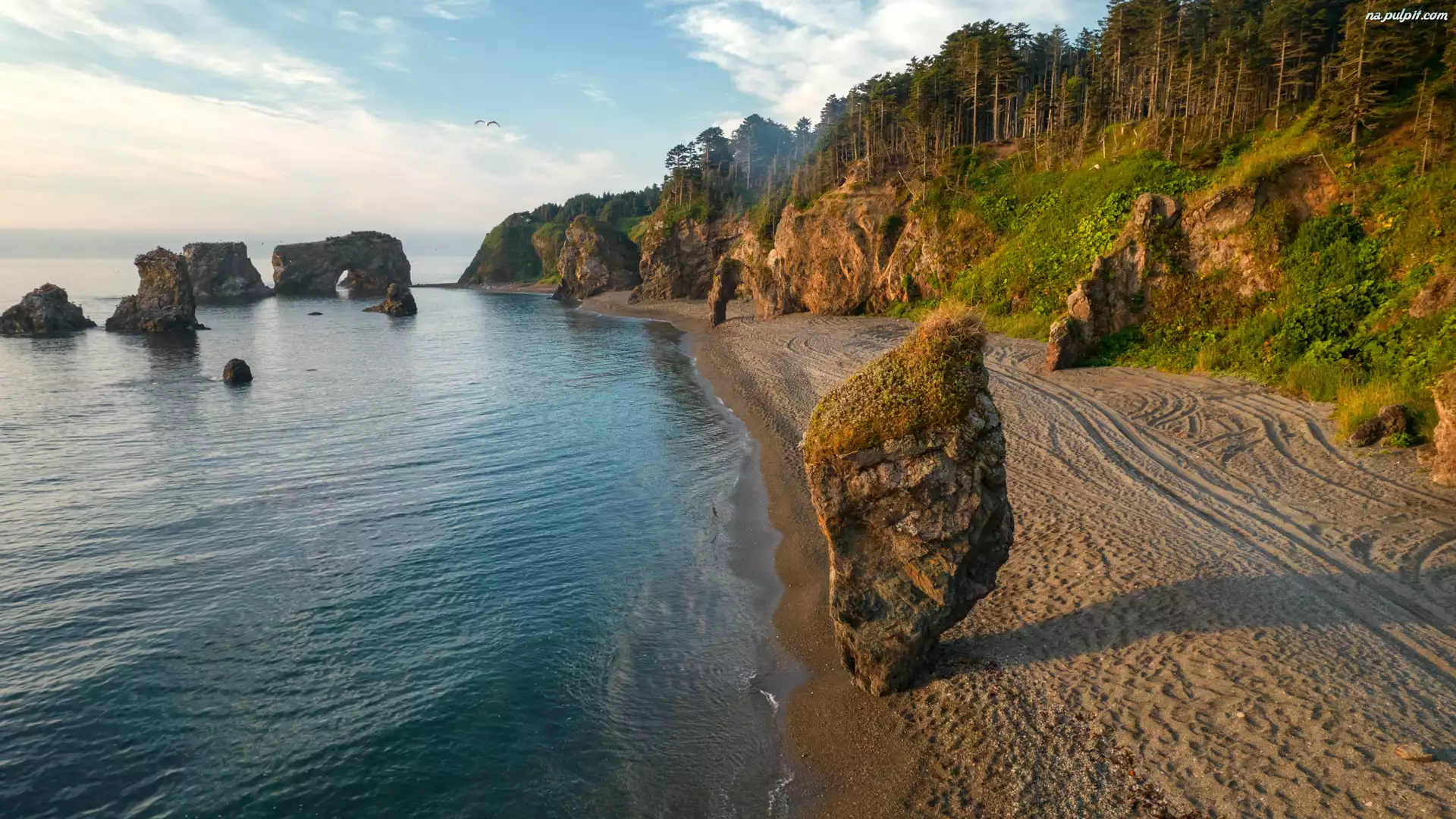 Skały, Wybrzeże, Morze, Drzewa, Plaża