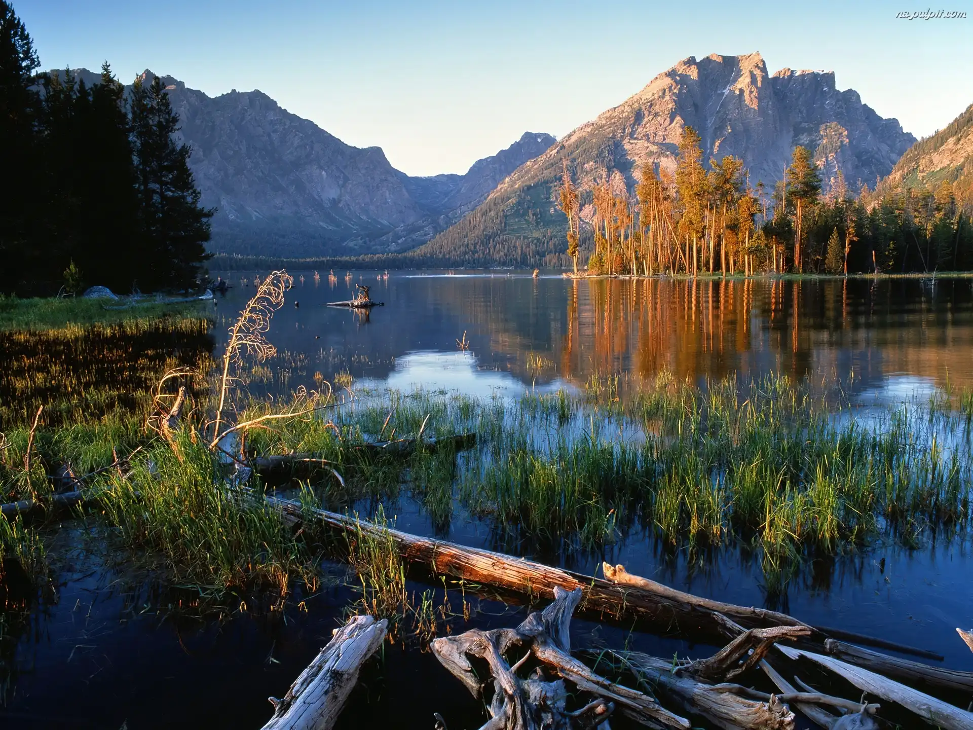 Wyoming, Roślinność, Góry, Jezioro, Jackson