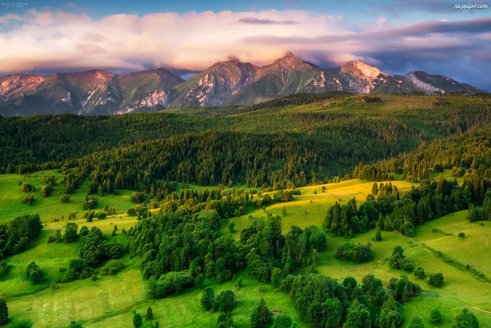 Lasy, Tatry, Łąki, Słowacja, Poranek, Chmury, Góry, Wzgórze