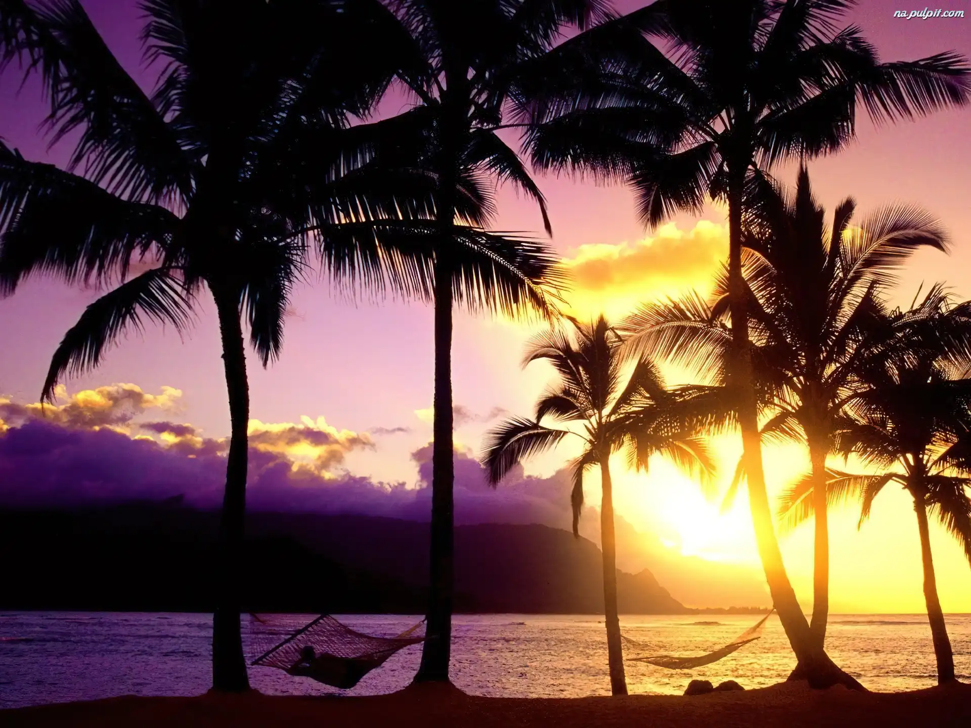 Zachód Słońca, Hawaje, Palmy